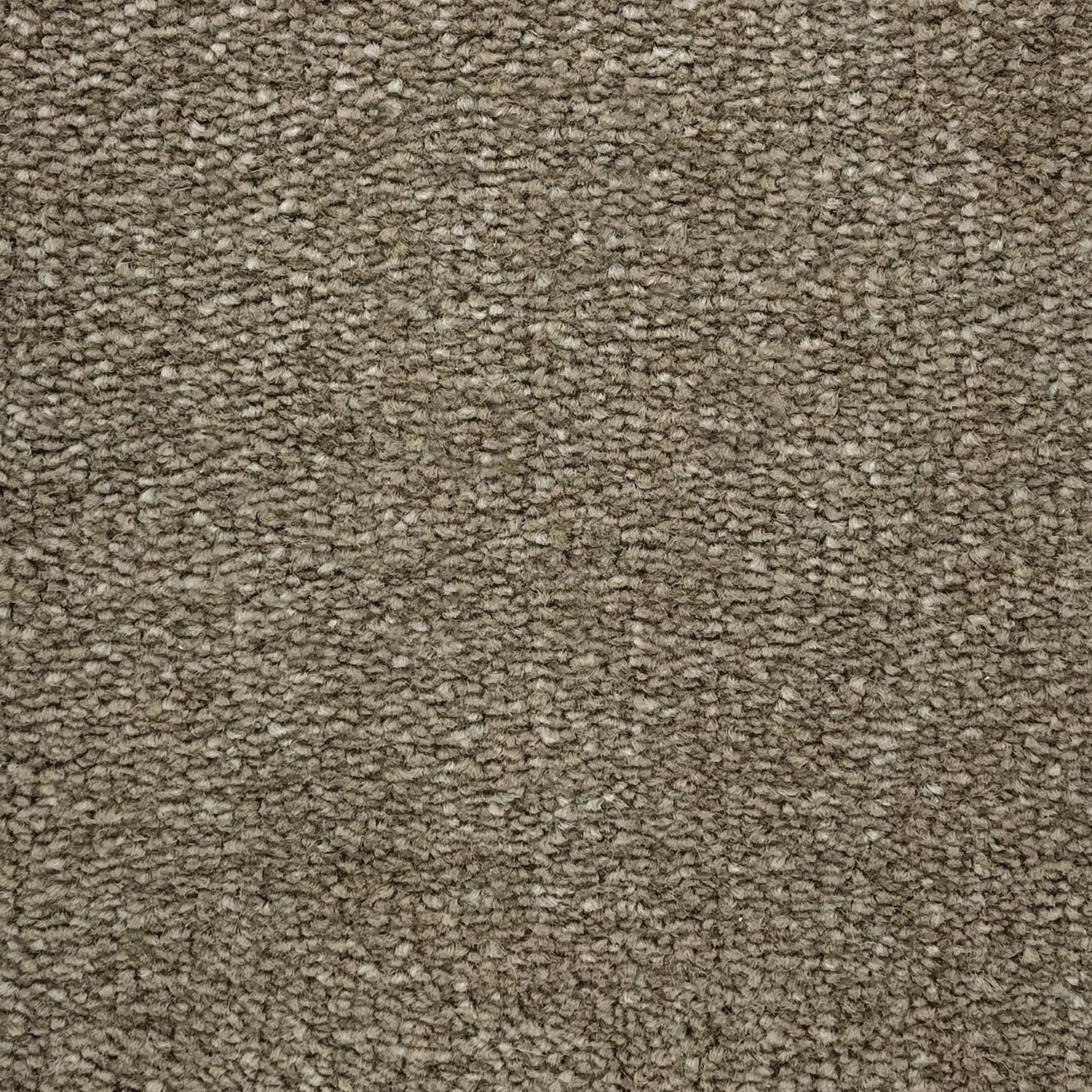 Flor Boston Saxony Carpet