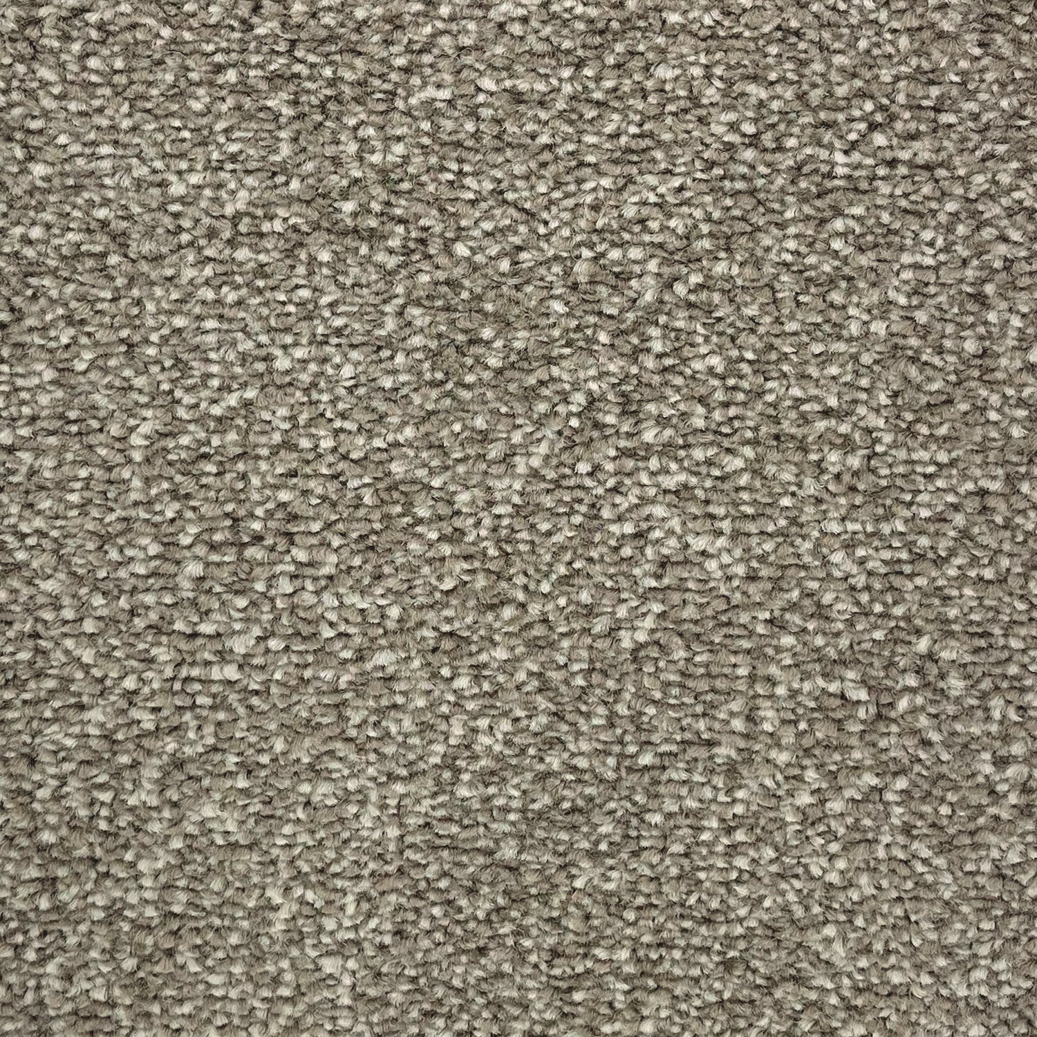 Flor Boston Saxony Carpet
