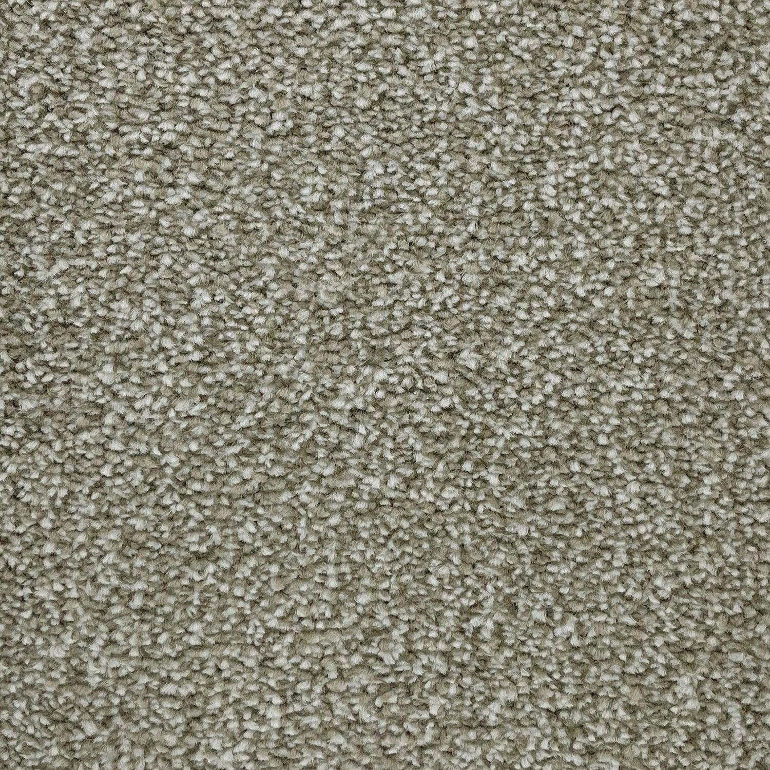 Flor Boston Saxony Carpet