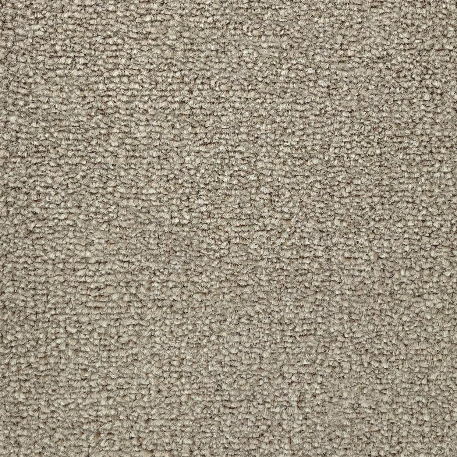 Flor Boston Saxony Carpet