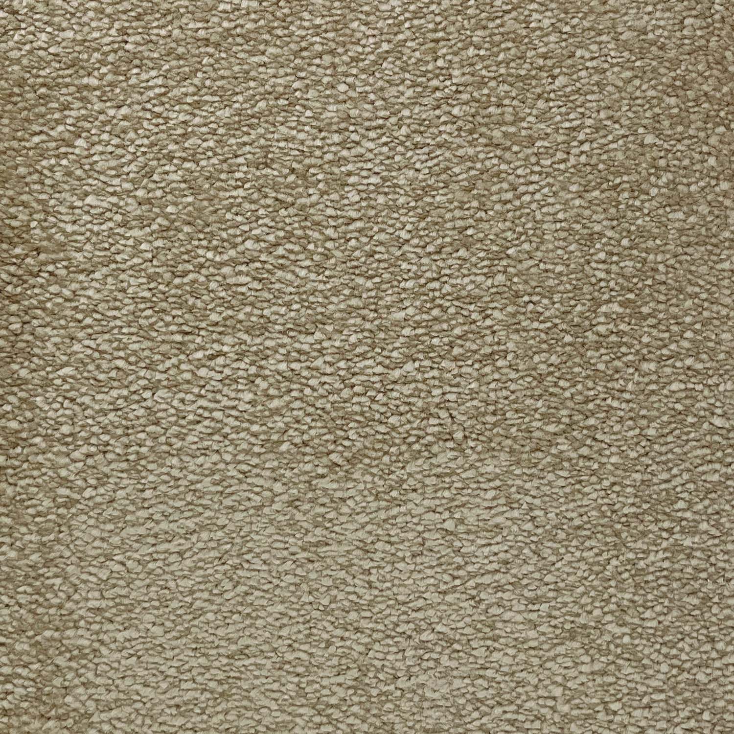 Flor Bridgford Saxony Carpet