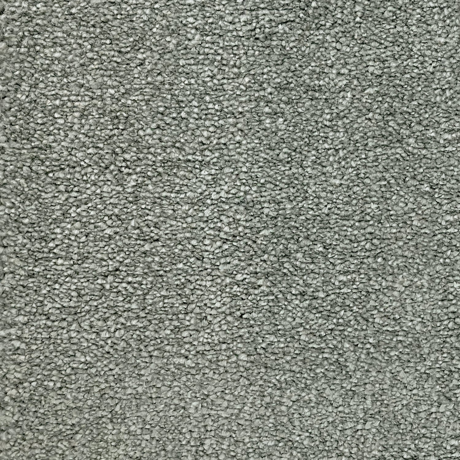 Flor Bridgford Saxony Carpet