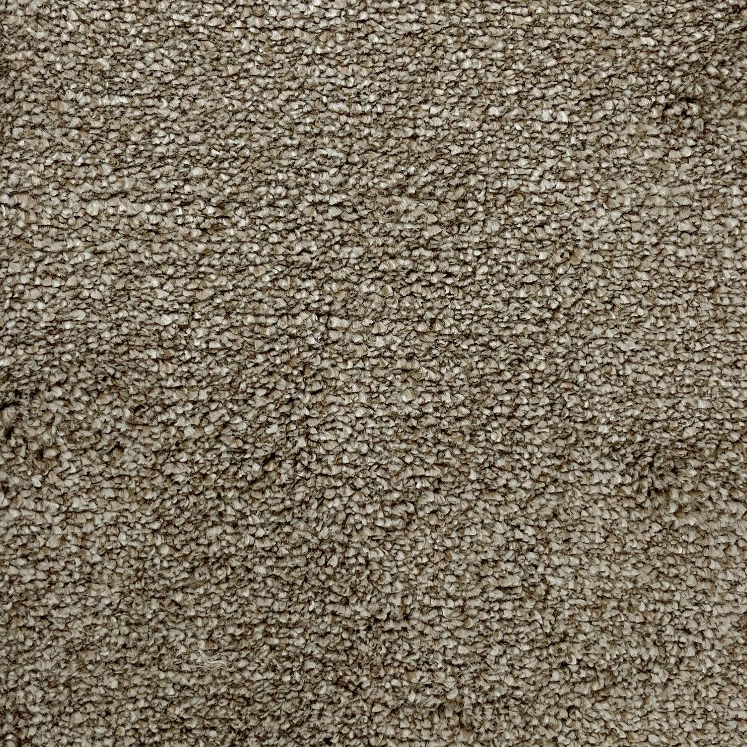Flor Bridgford Saxony Carpet