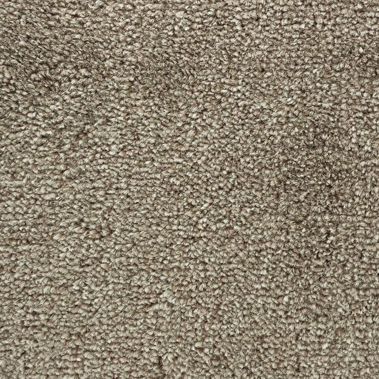 Flor Charnwood Saxony Carpet