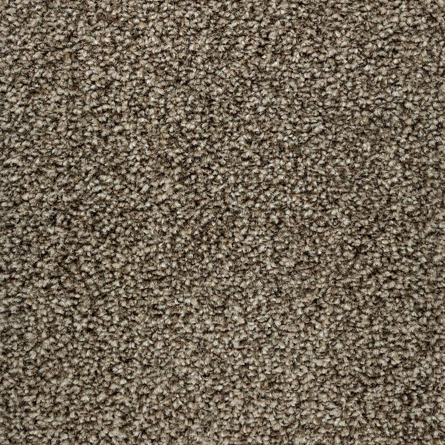 Flor Charnwood Saxony Carpet