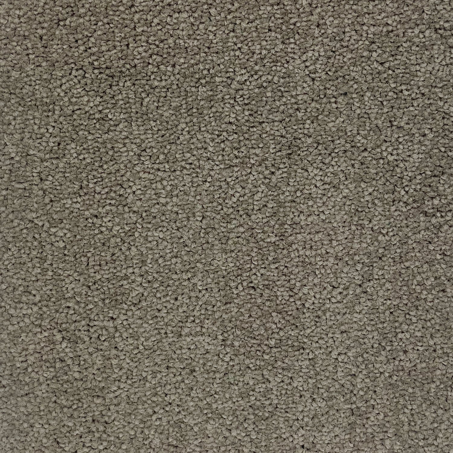 Furlong Flooring Avondale Plains Twist Carpet
