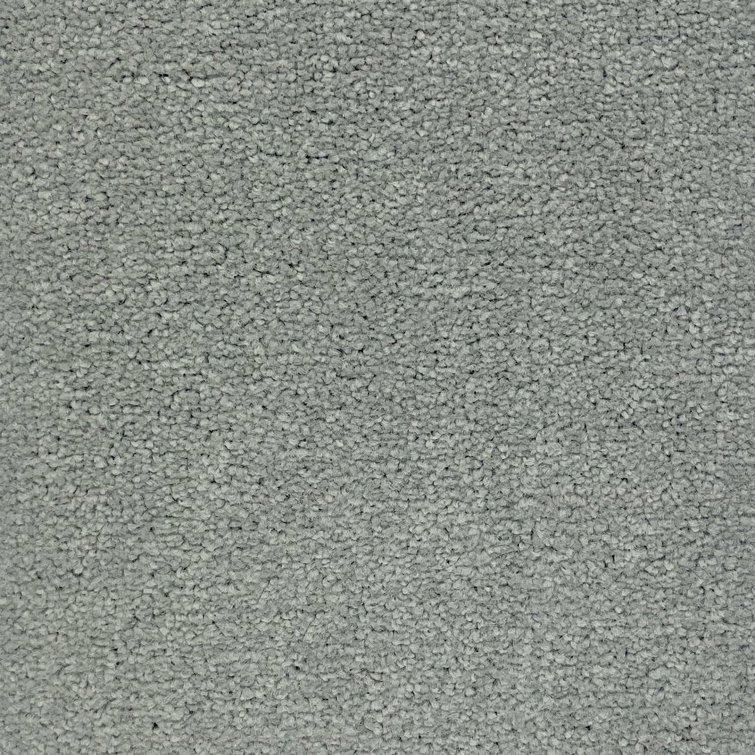 Furlong Flooring Avondale Plains Twist Carpet