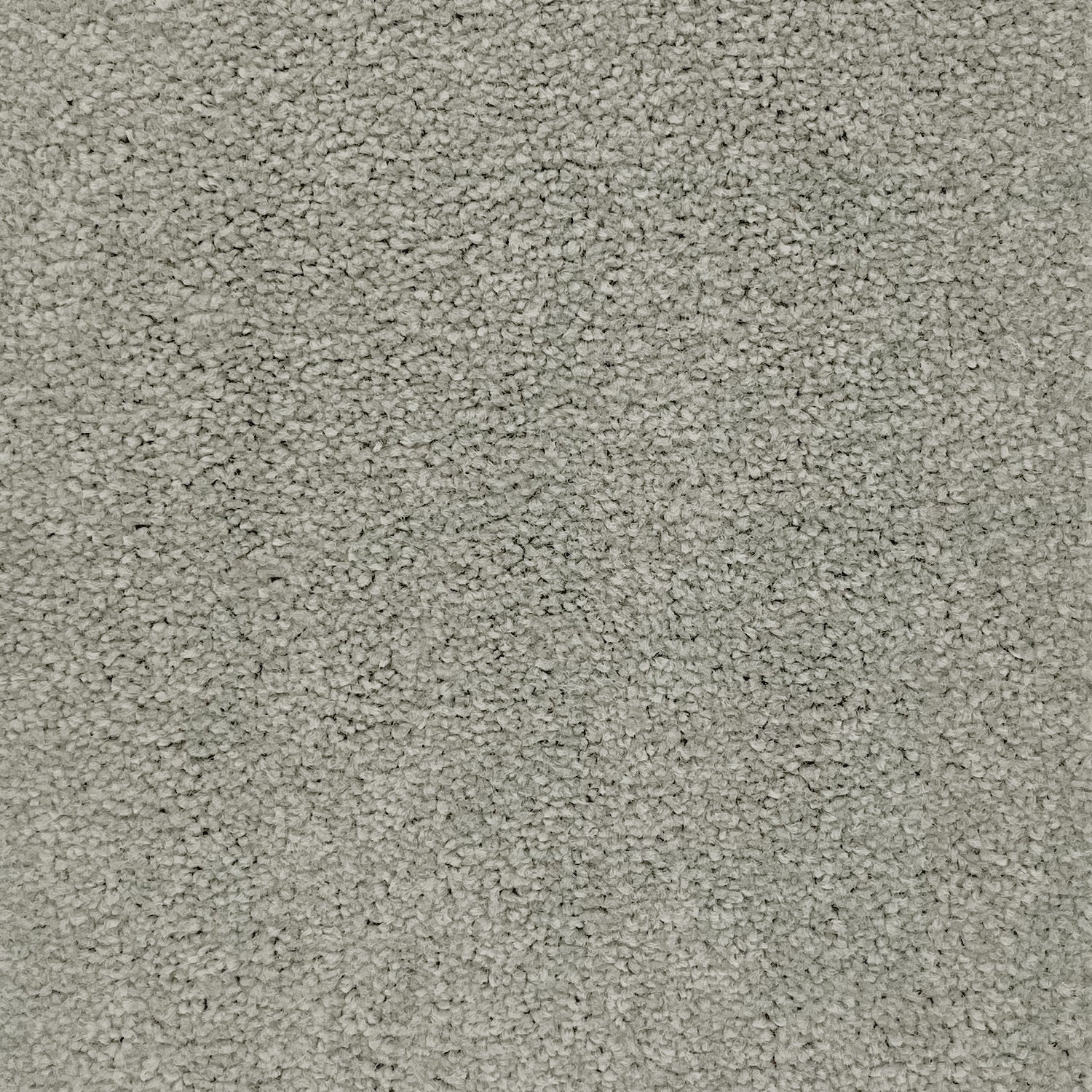 Furlong Flooring Avondale Plains Twist Carpet