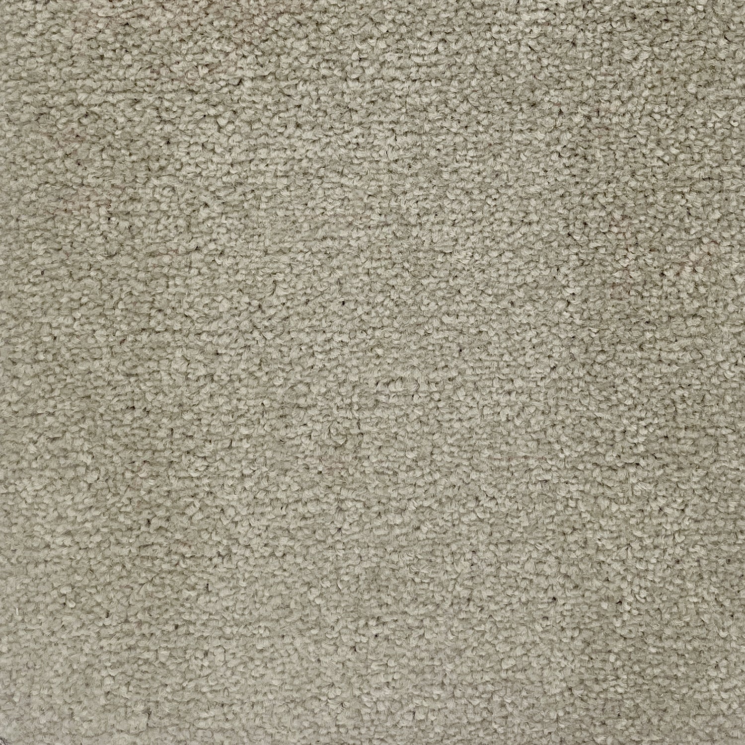 Furlong Flooring Avondale Plains Twist Carpet