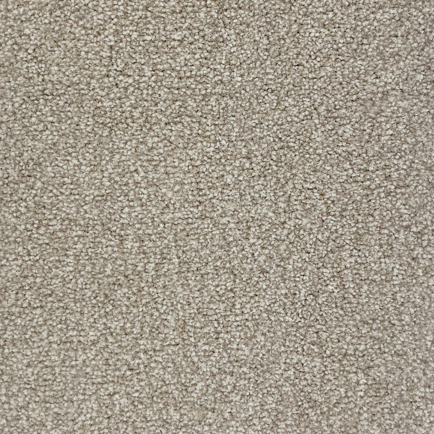 Furlong Flooring Carefree Ultra Twist Carpet