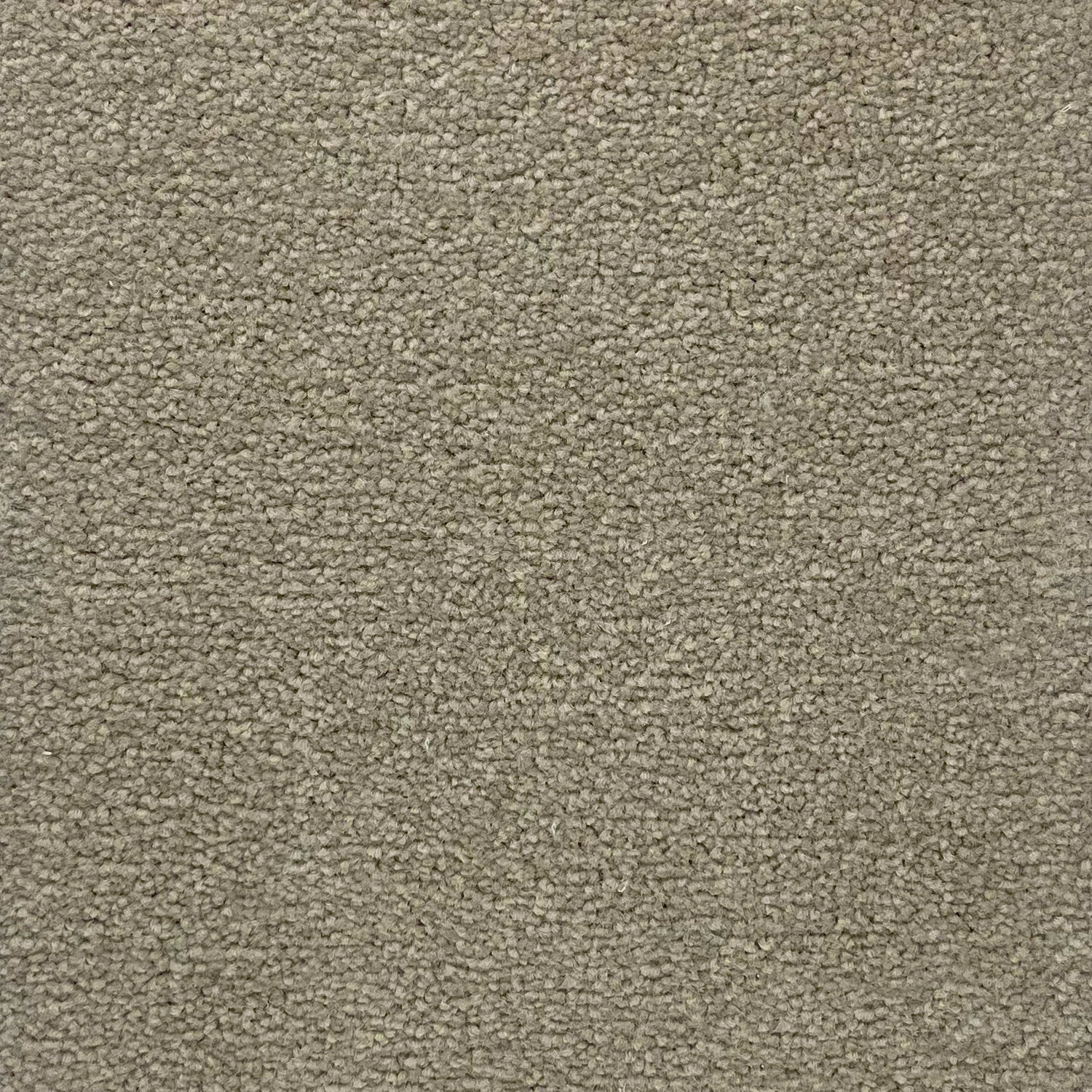 Furlong Flooring Renaissance Twist Carpet