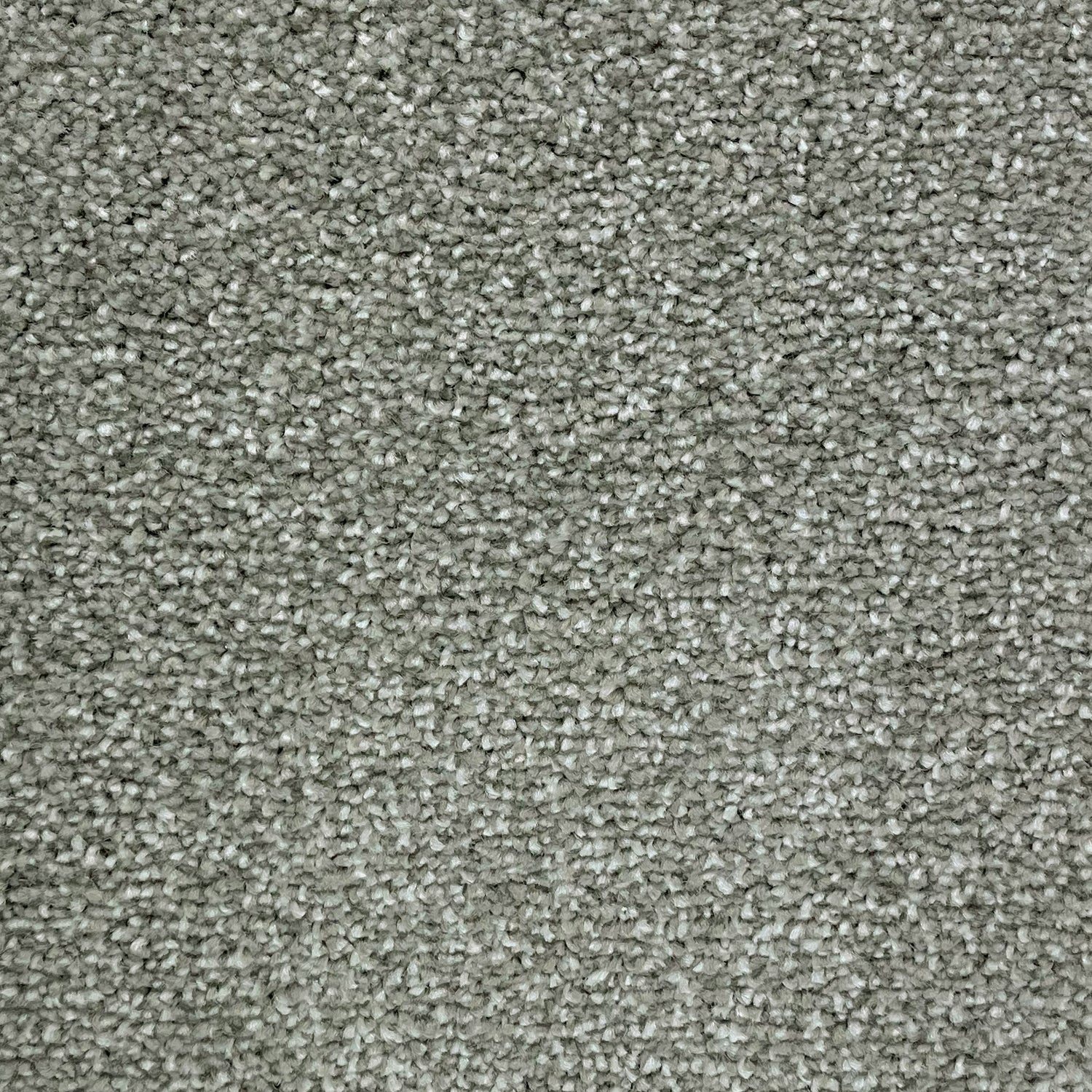 Furlong Flooring Satisfaction Ultra Saxony Carpet