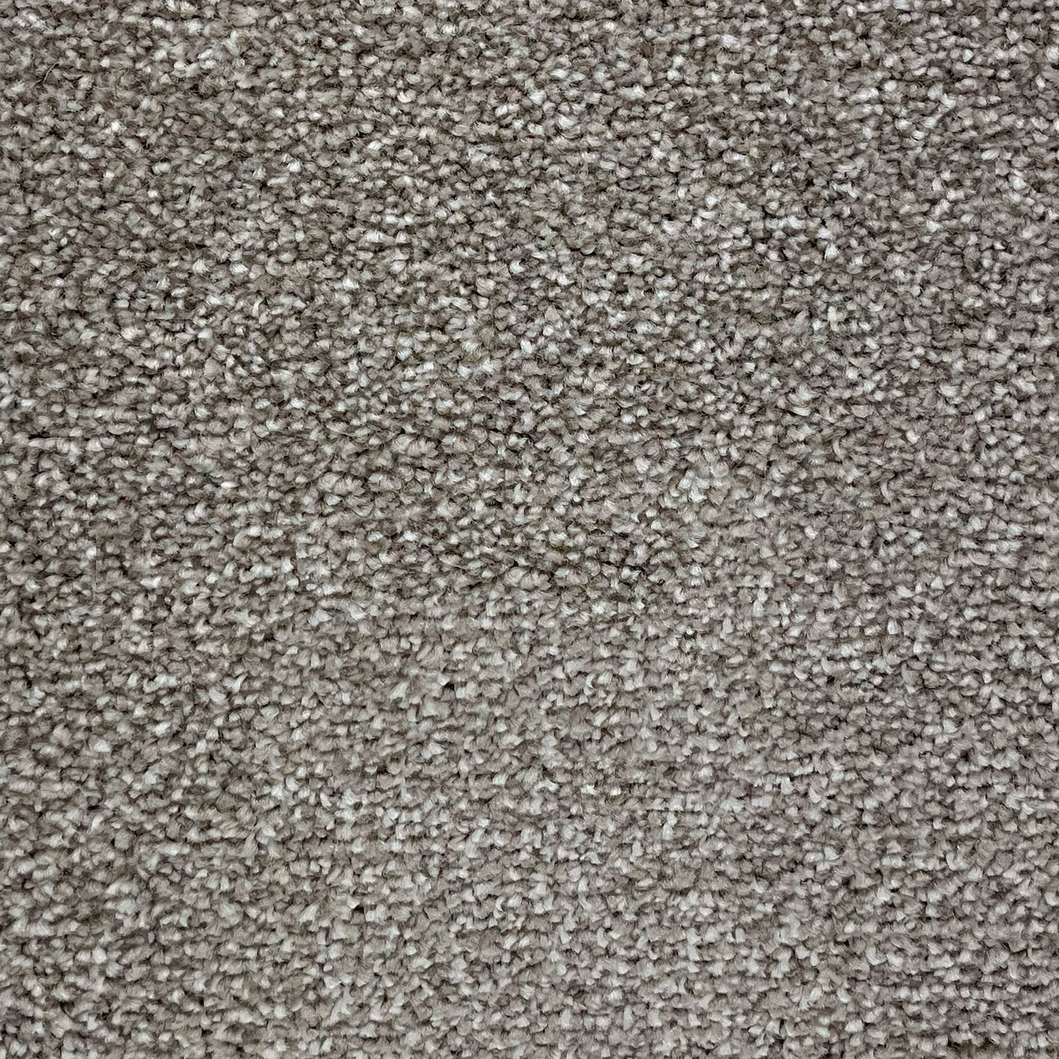 Furlong Flooring Satisfaction Ultra Saxony Carpet