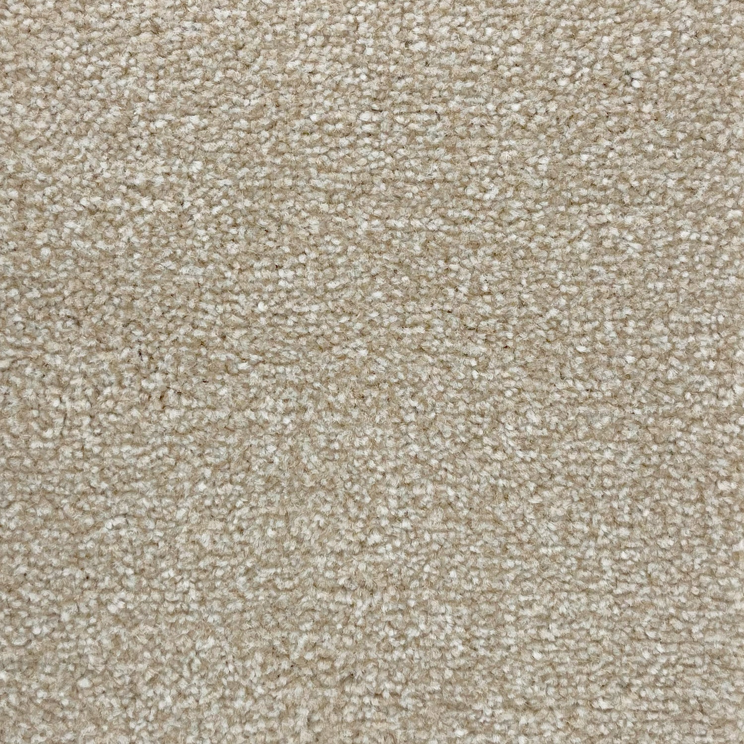Furlong Flooring Satisfaction Ultra Saxony Carpet