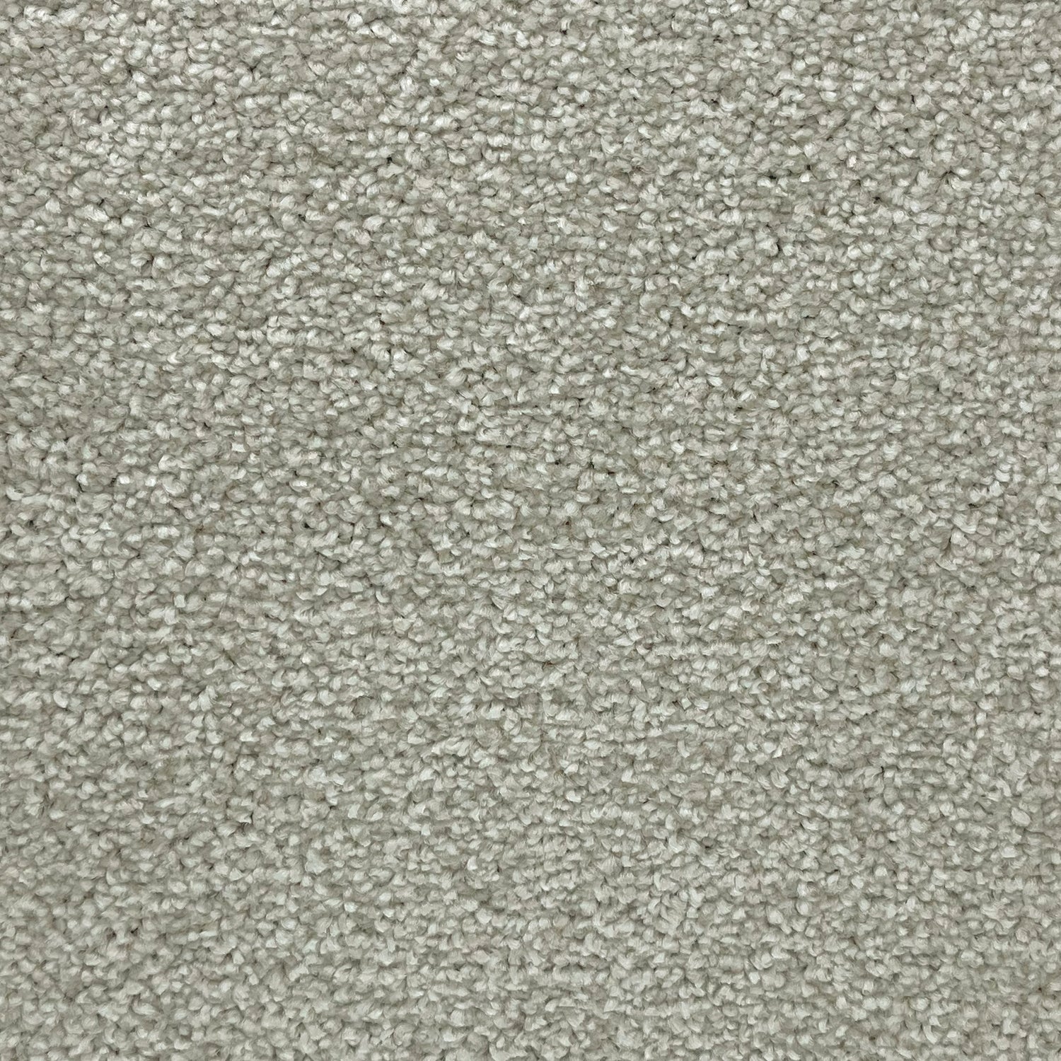 Furlong Flooring Satisfaction Ultra Saxony Carpet