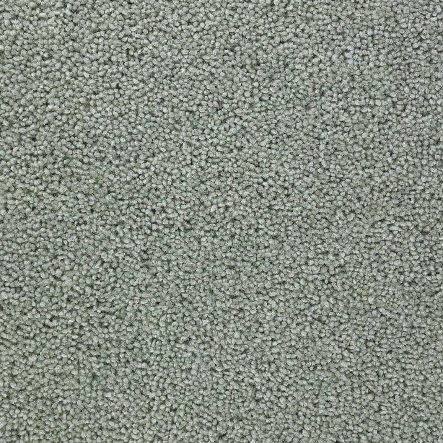 Furlong Flooring Timeless Classic 80% Wool Blend Twist Carpet