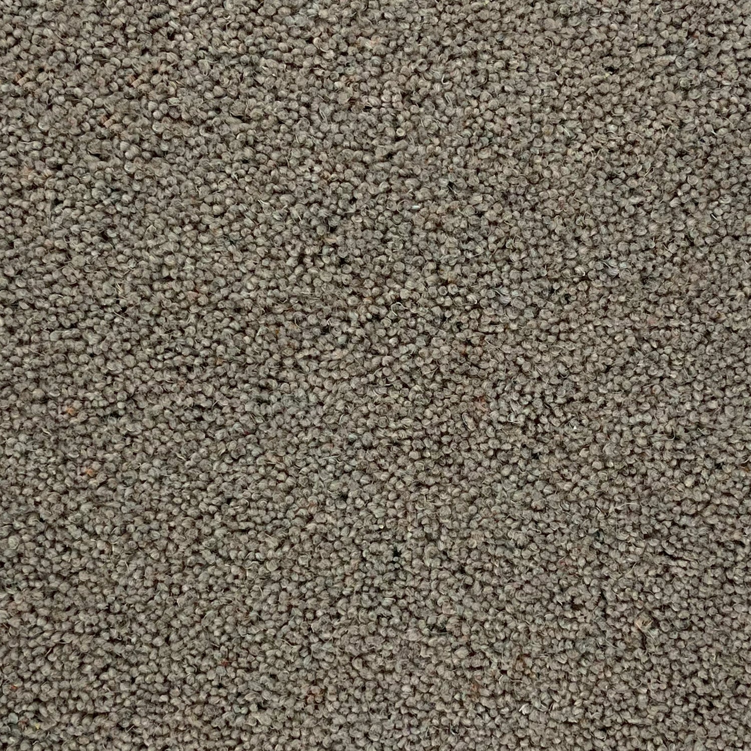 Furlong Flooring Timeless Classic 80% Wool Blend Twist Carpet