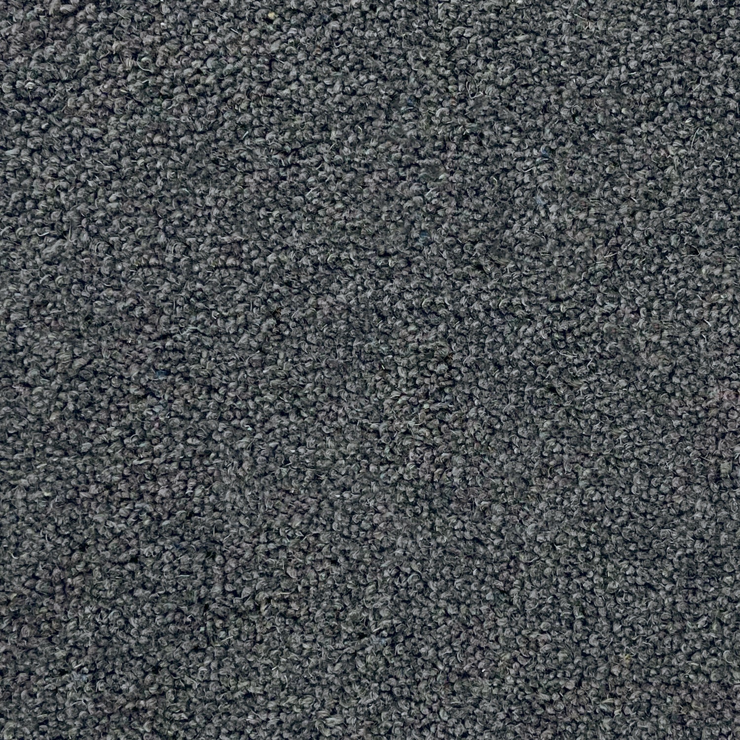 Furlong Flooring Timeless Classic 80% Wool Blend Twist Carpet