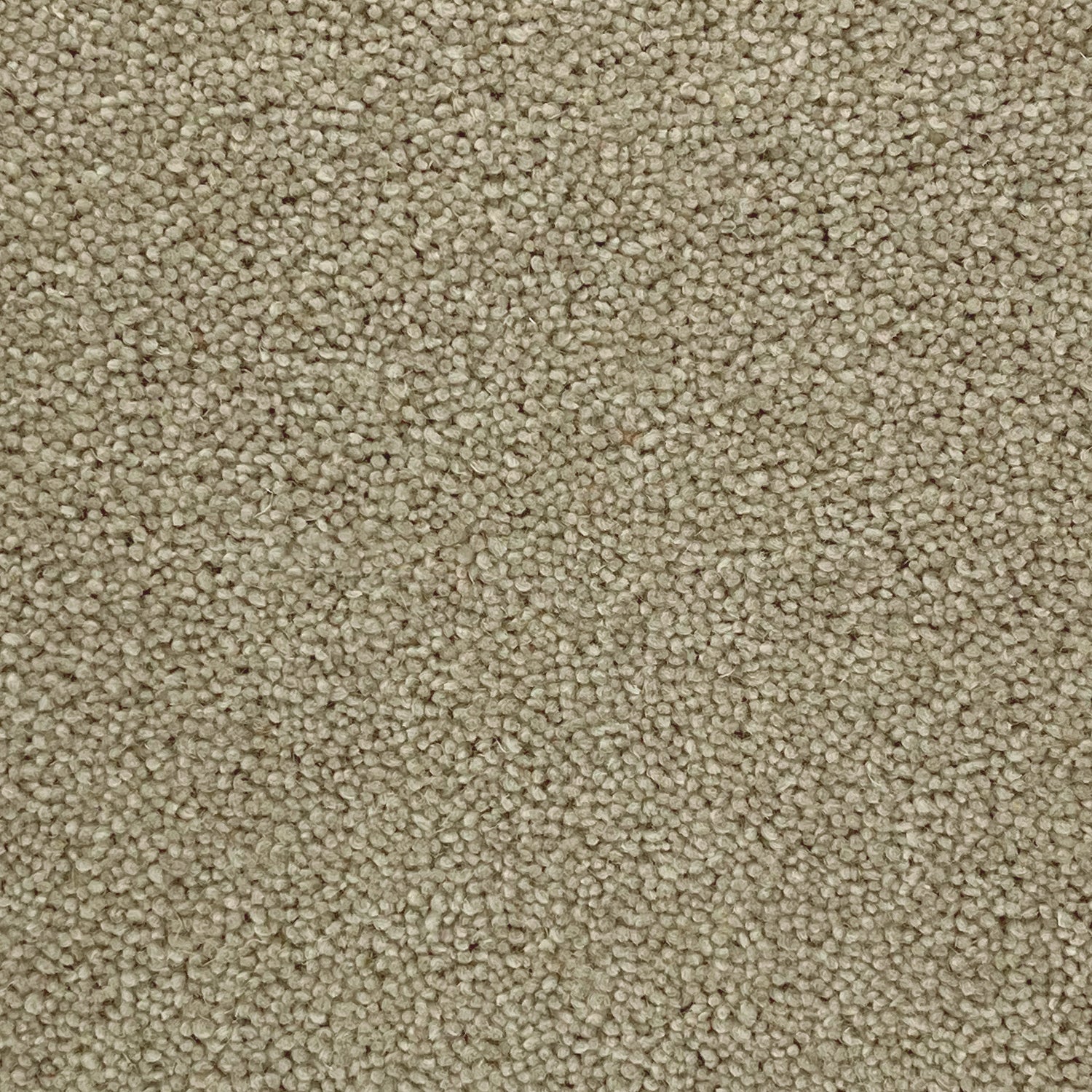 Furlong Flooring Timeless Classic 80% Wool Blend Twist Carpet