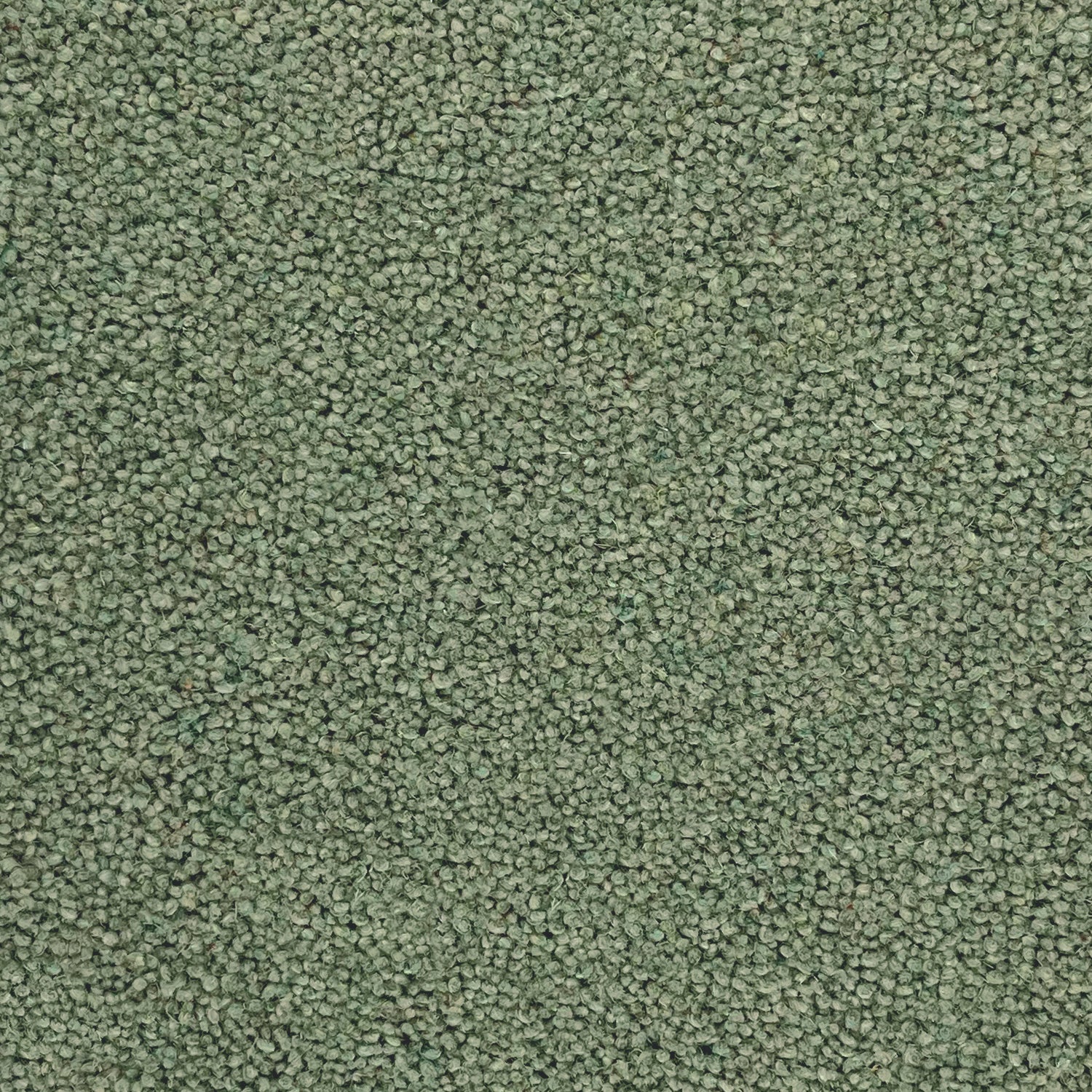 Furlong Flooring Timeless Classic 80% Wool Blend Twist Carpet