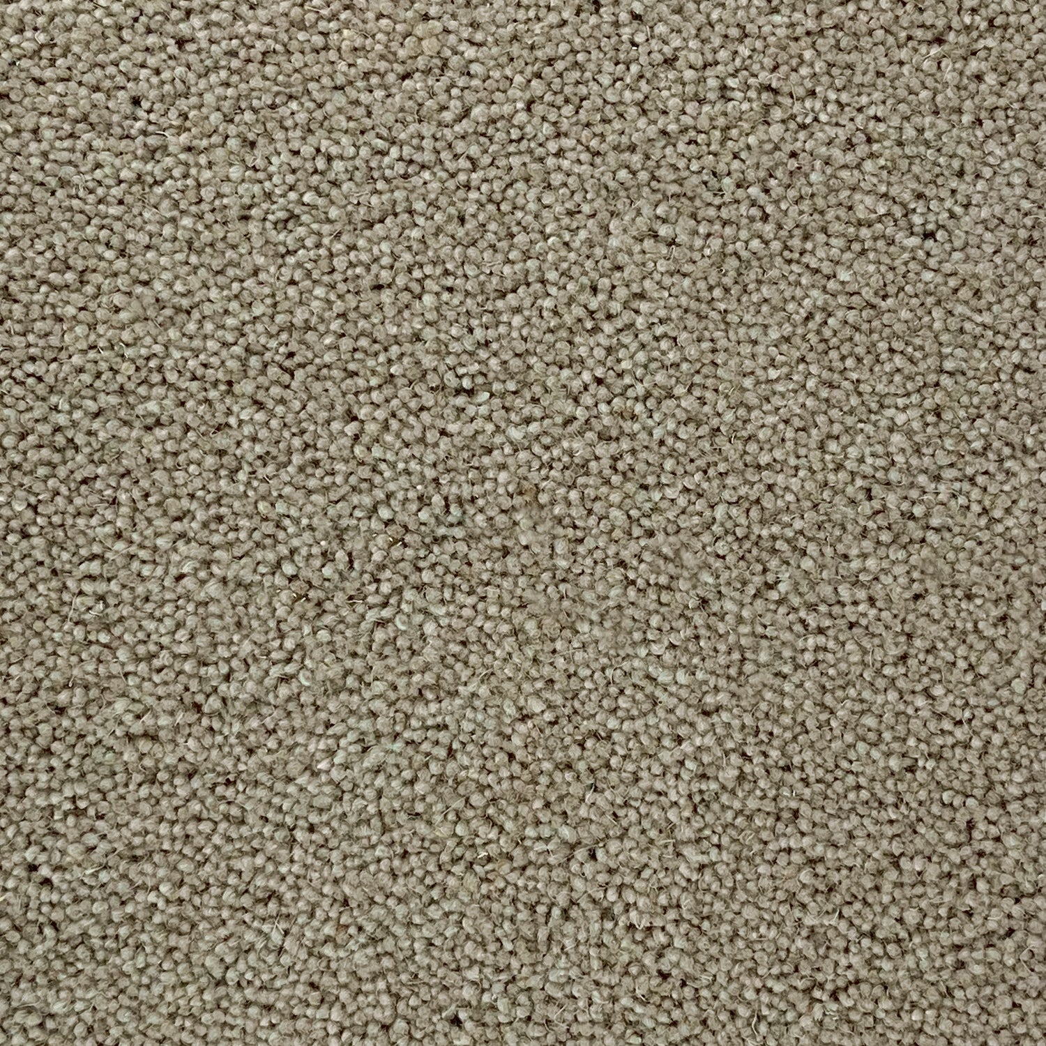 Furlong Flooring Timeless Deluxe 80% Wool Blend Twist Carpet