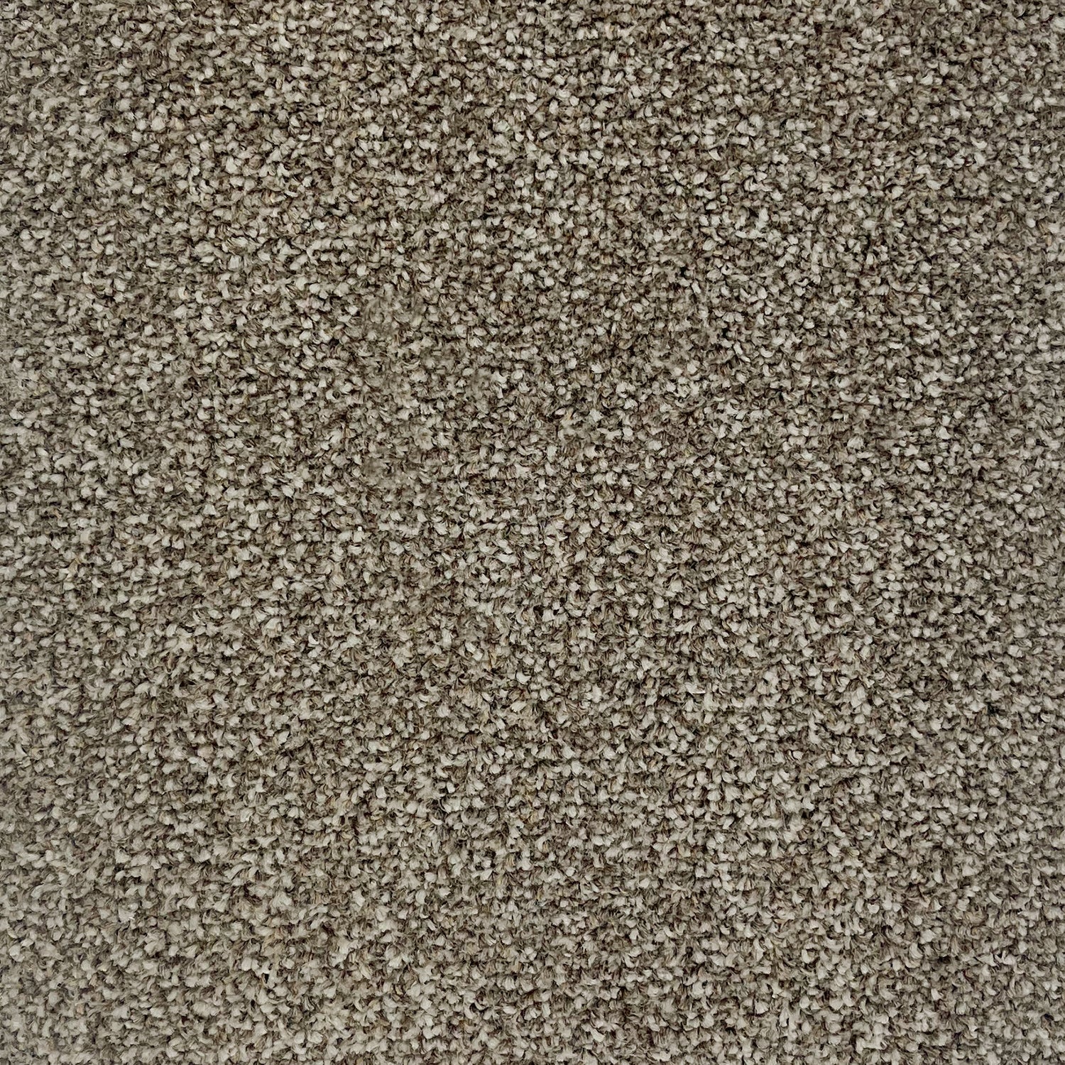 Furlong Flooring Trident Twist Carpet
