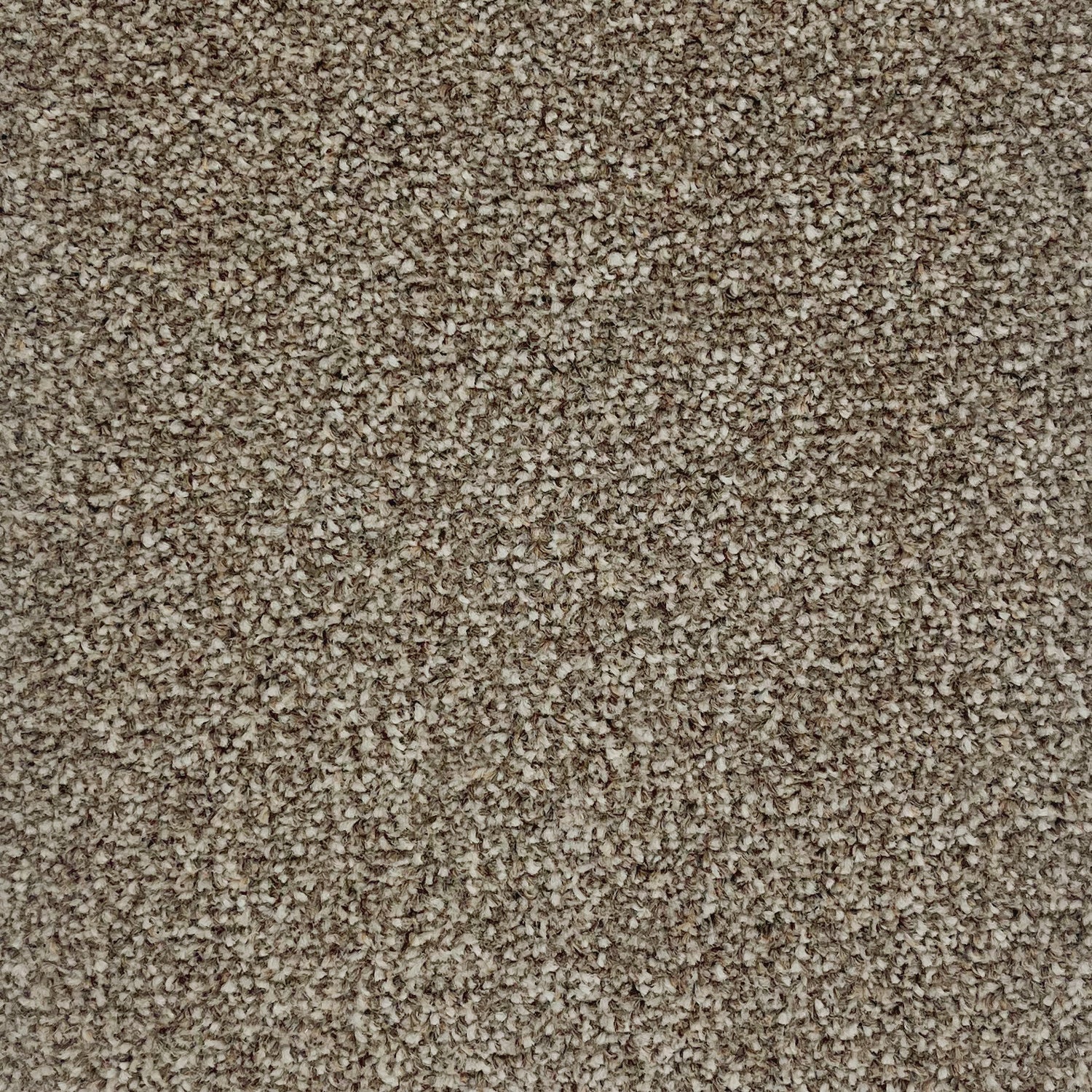 Furlong Flooring Trident Twist Carpet