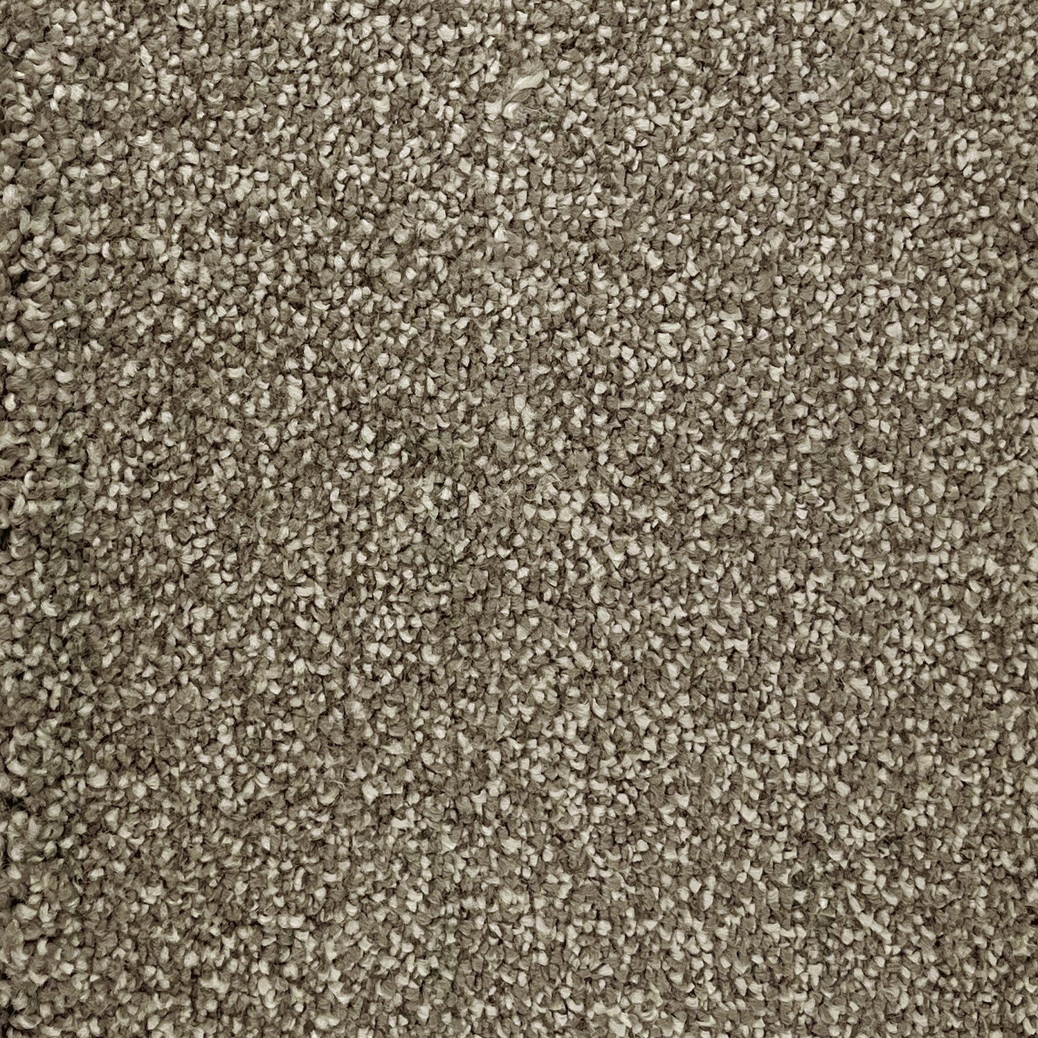 Furlong Flooring Vivace Saxony Carpet