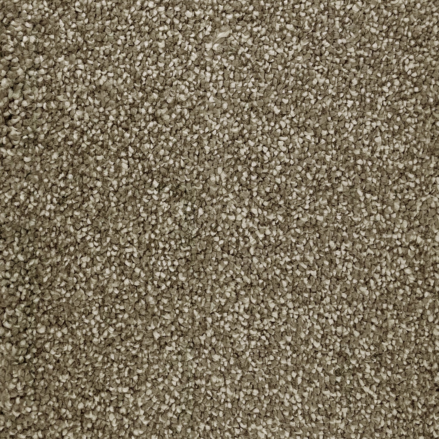 Furlong Flooring Vivace Saxony Carpet