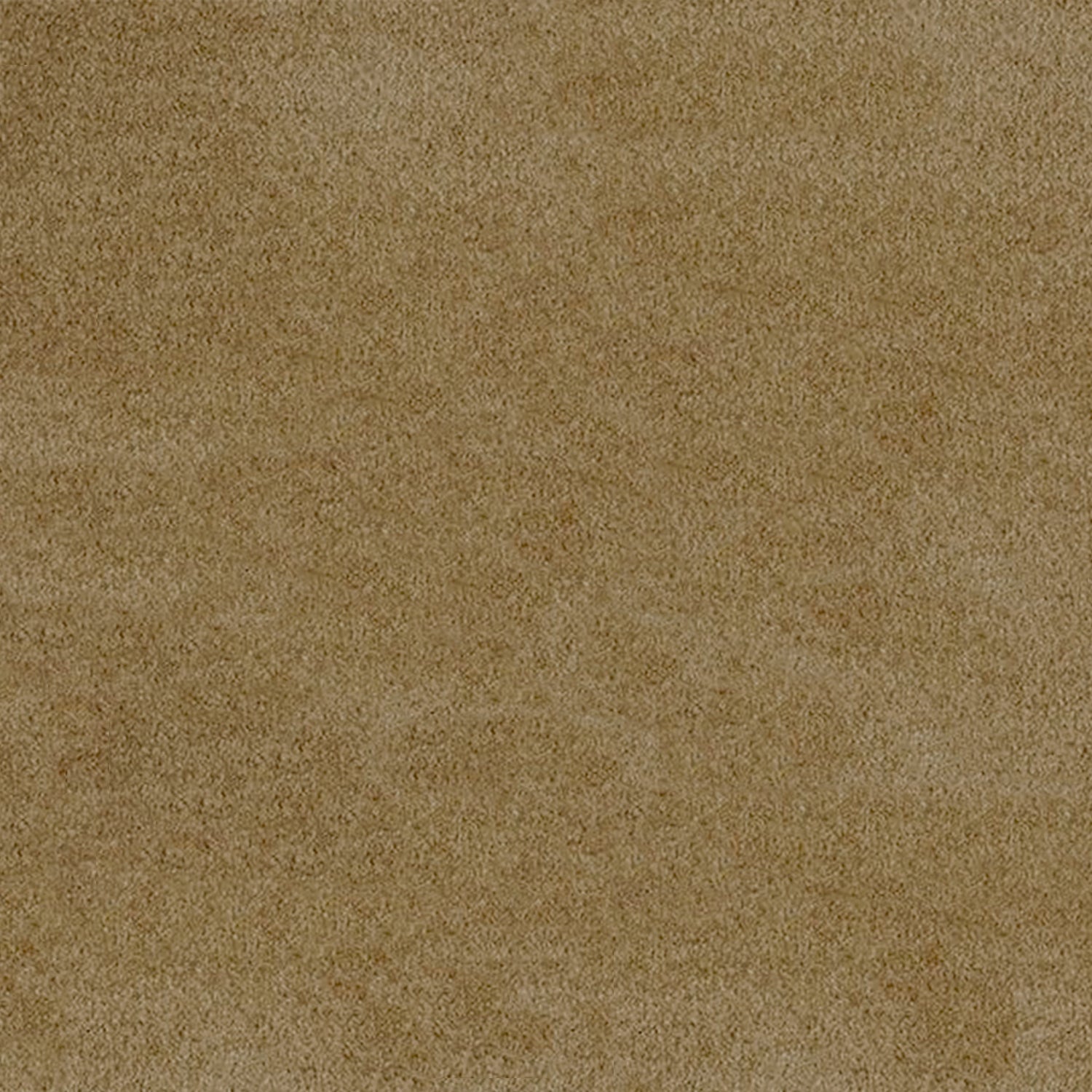 Associated Weavers Gaia Rio Grande Twist Carpet