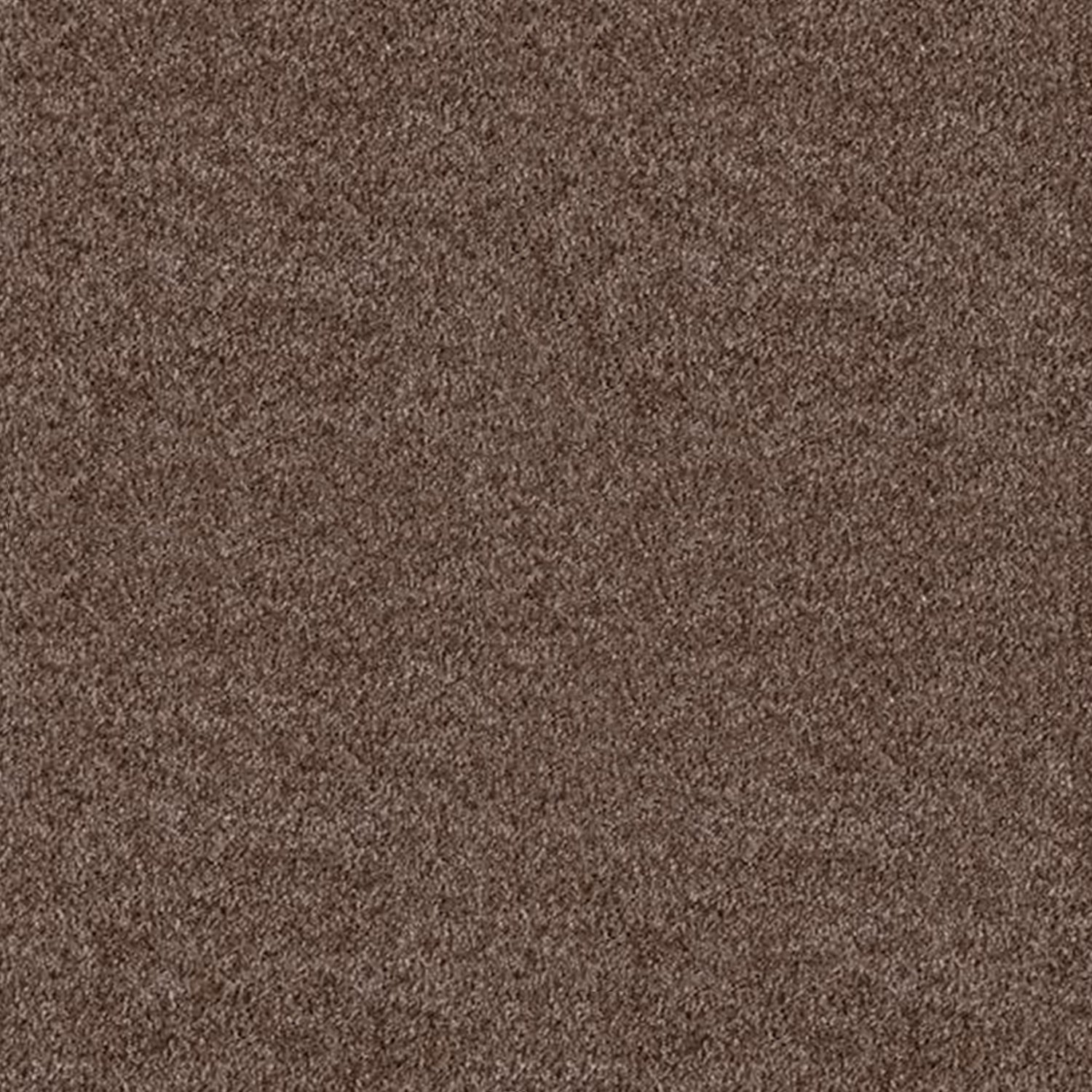 Associated Weavers Gaia Rio Grande Twist Carpet