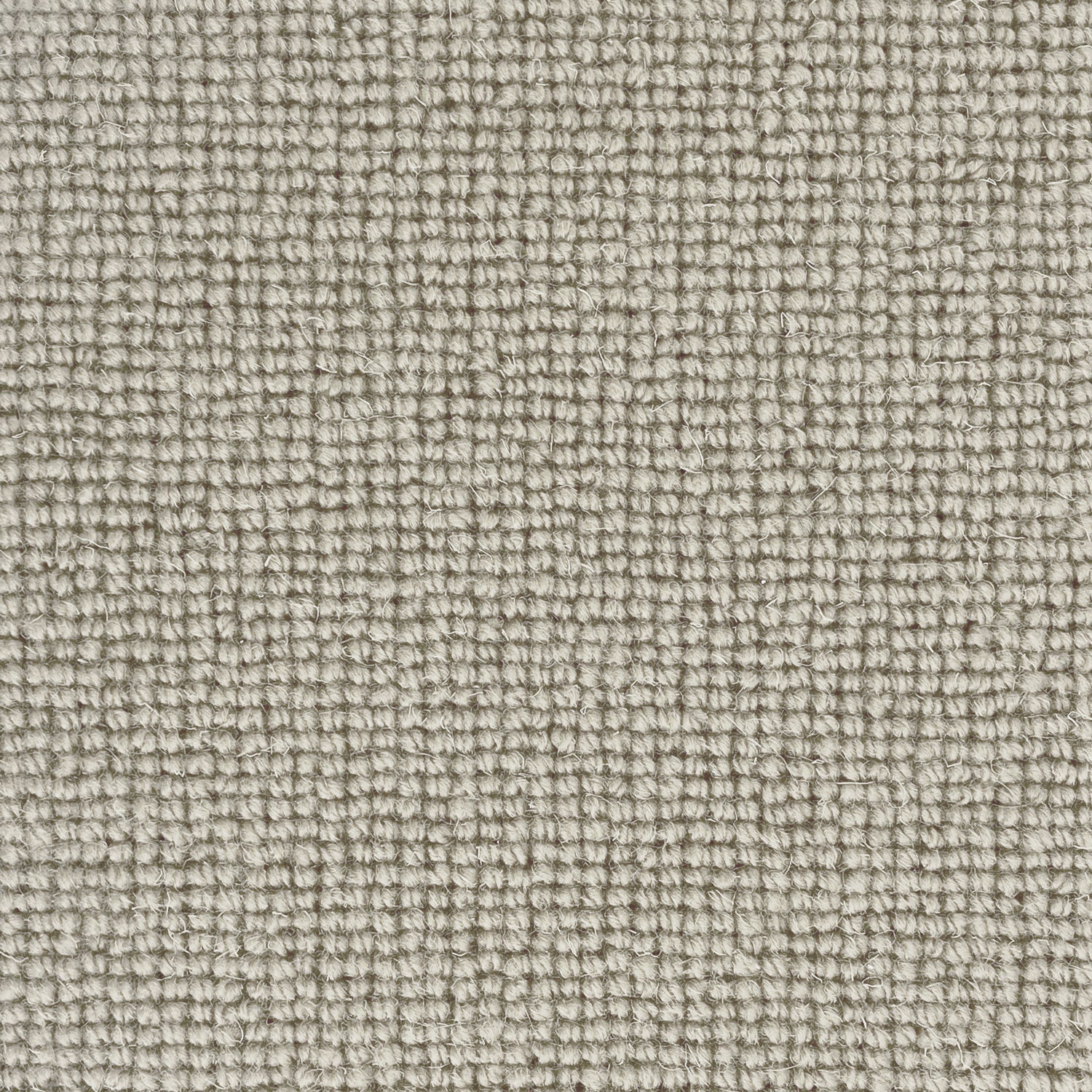 Hugh Mackay Deco Plain 100% Wool Loop Carpet