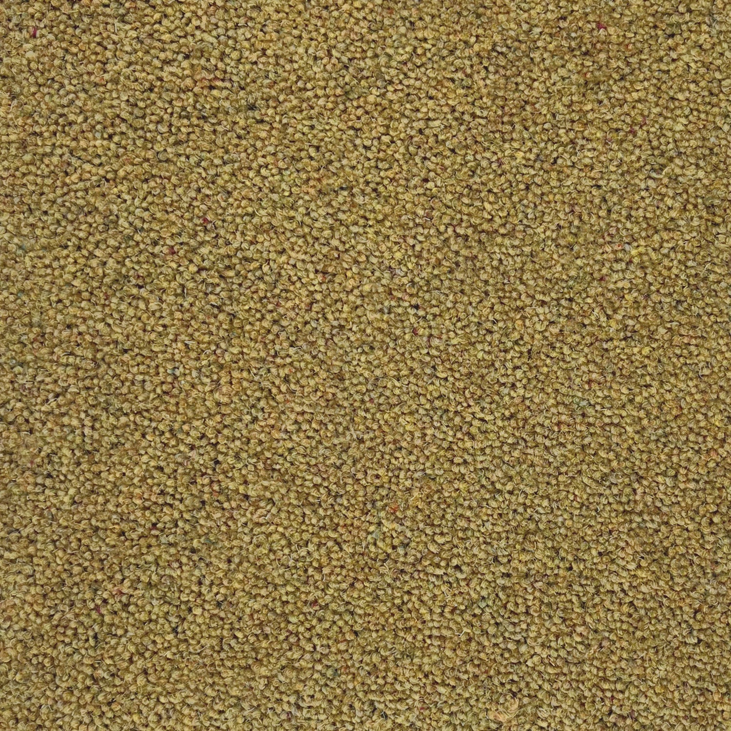 Hugh Mackay 45oz Durham Tweed 80% Wool Blend Twist Carpet