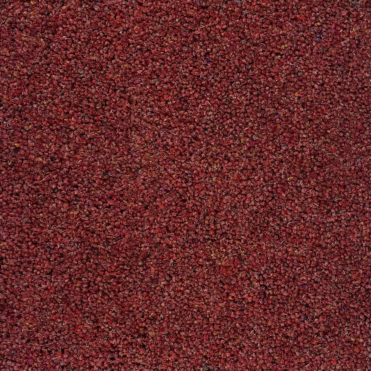 Hugh Mackay 45oz Durham Tweed 80% Wool Blend Twist Carpet