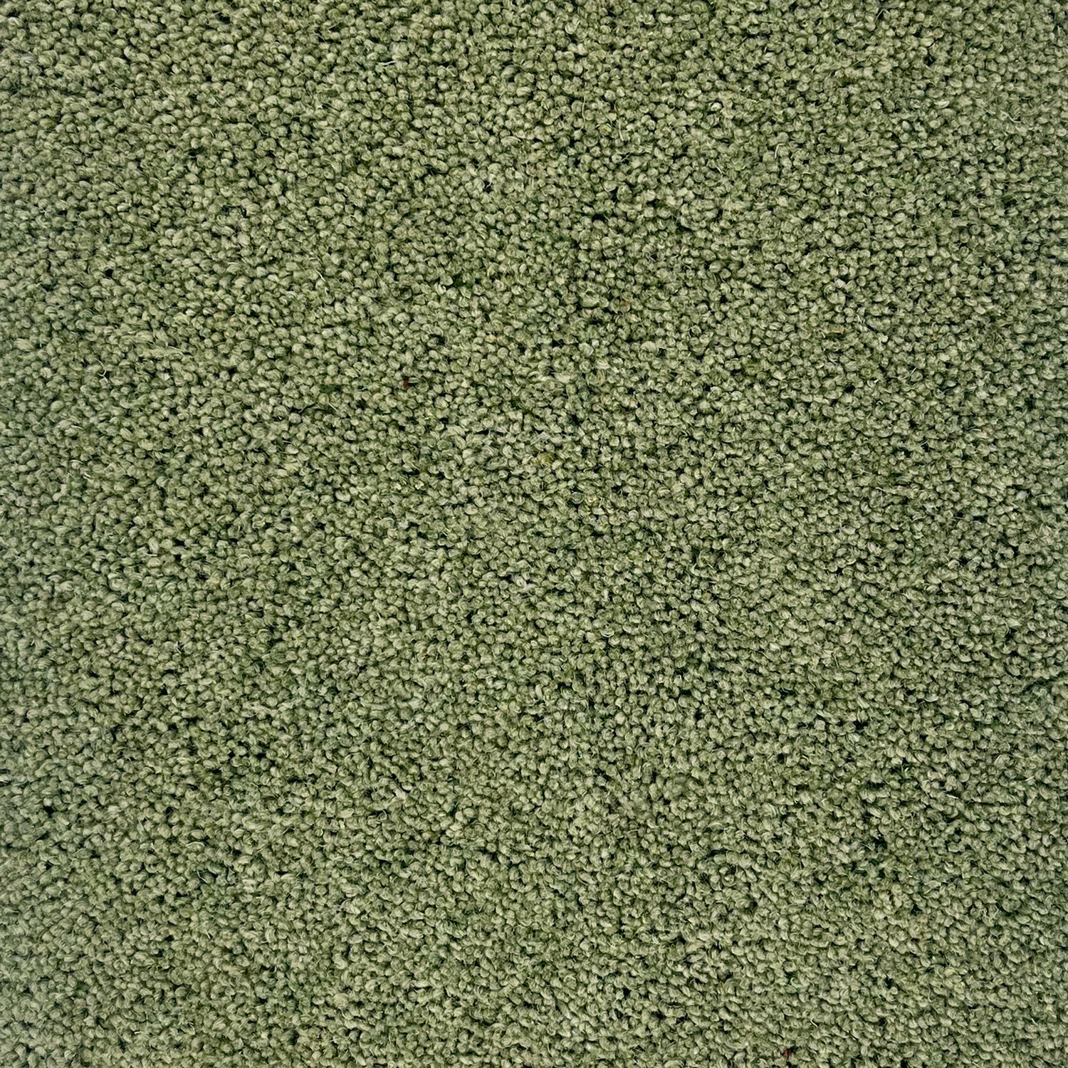 Hugh Mackay 40oz Durham Twist Colours 80% Wool Blend Twist Carpet