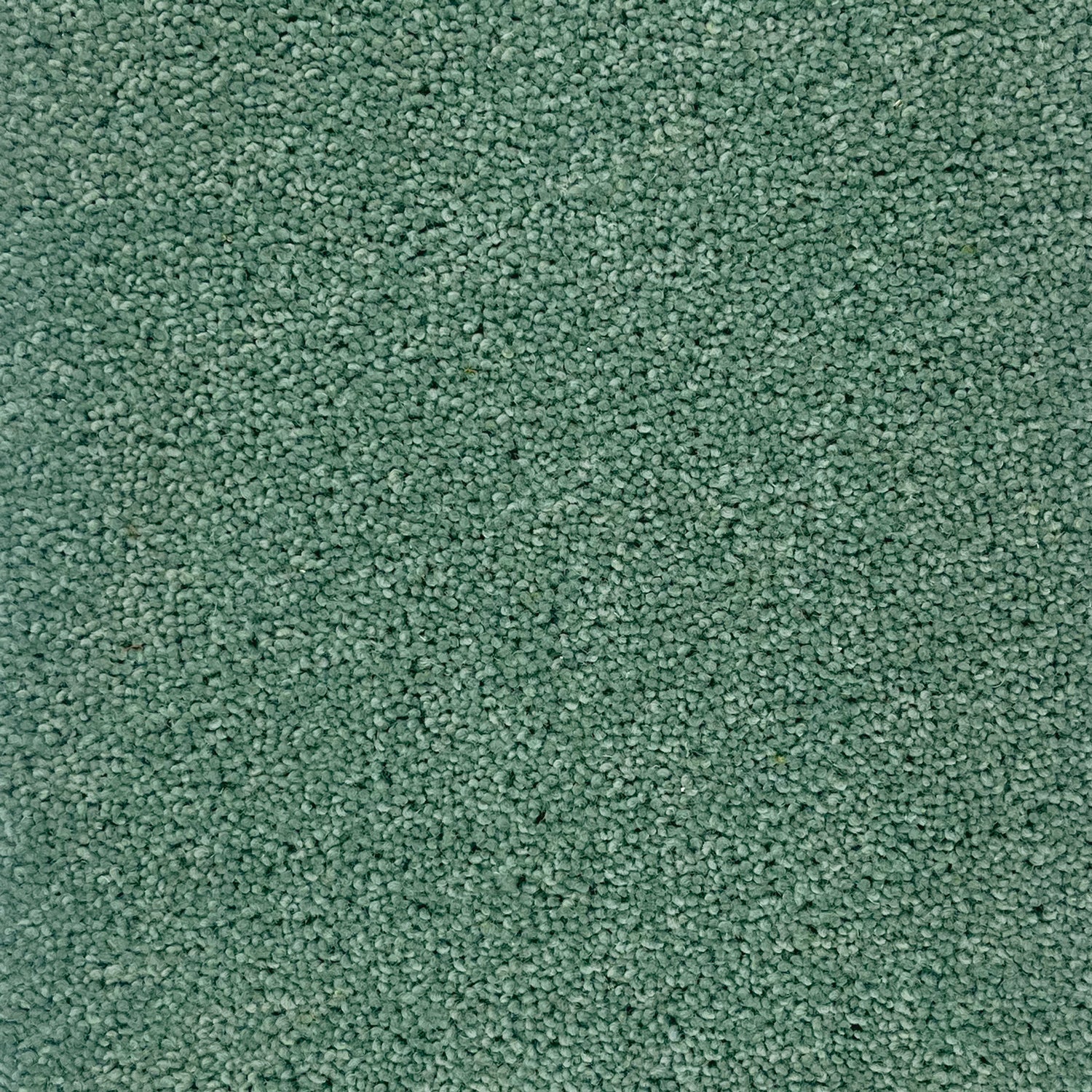 Hugh Mackay 40oz Durham Twist Colours 80% Wool Blend Twist Carpet