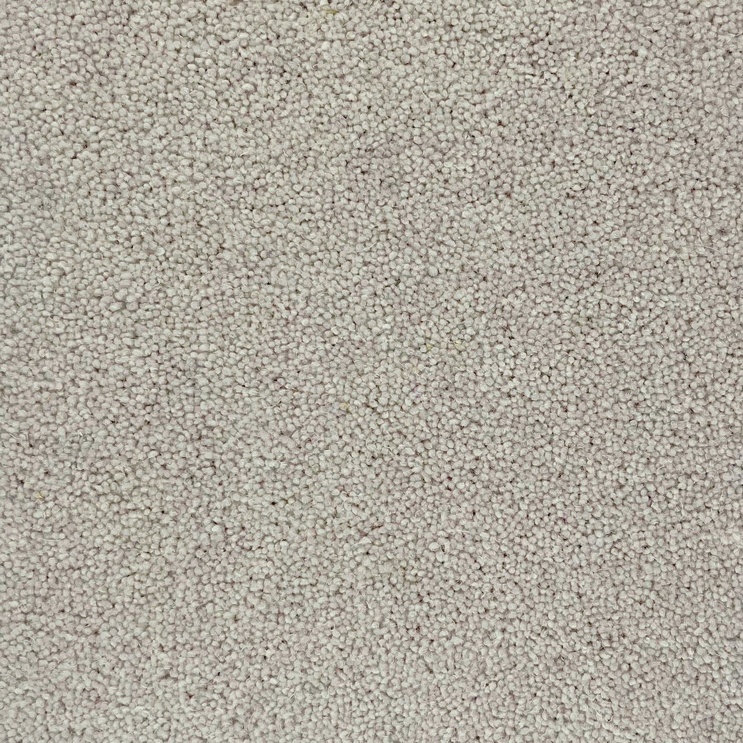 Hugh Mackay 50oz Durham Twist Naturals 80% Wool Blend Twist Carpet
