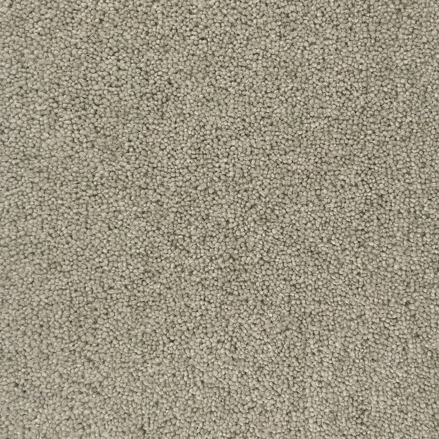 Hugh Mackay 50oz Durham Twist Naturals 80% Wool Blend Twist Carpet