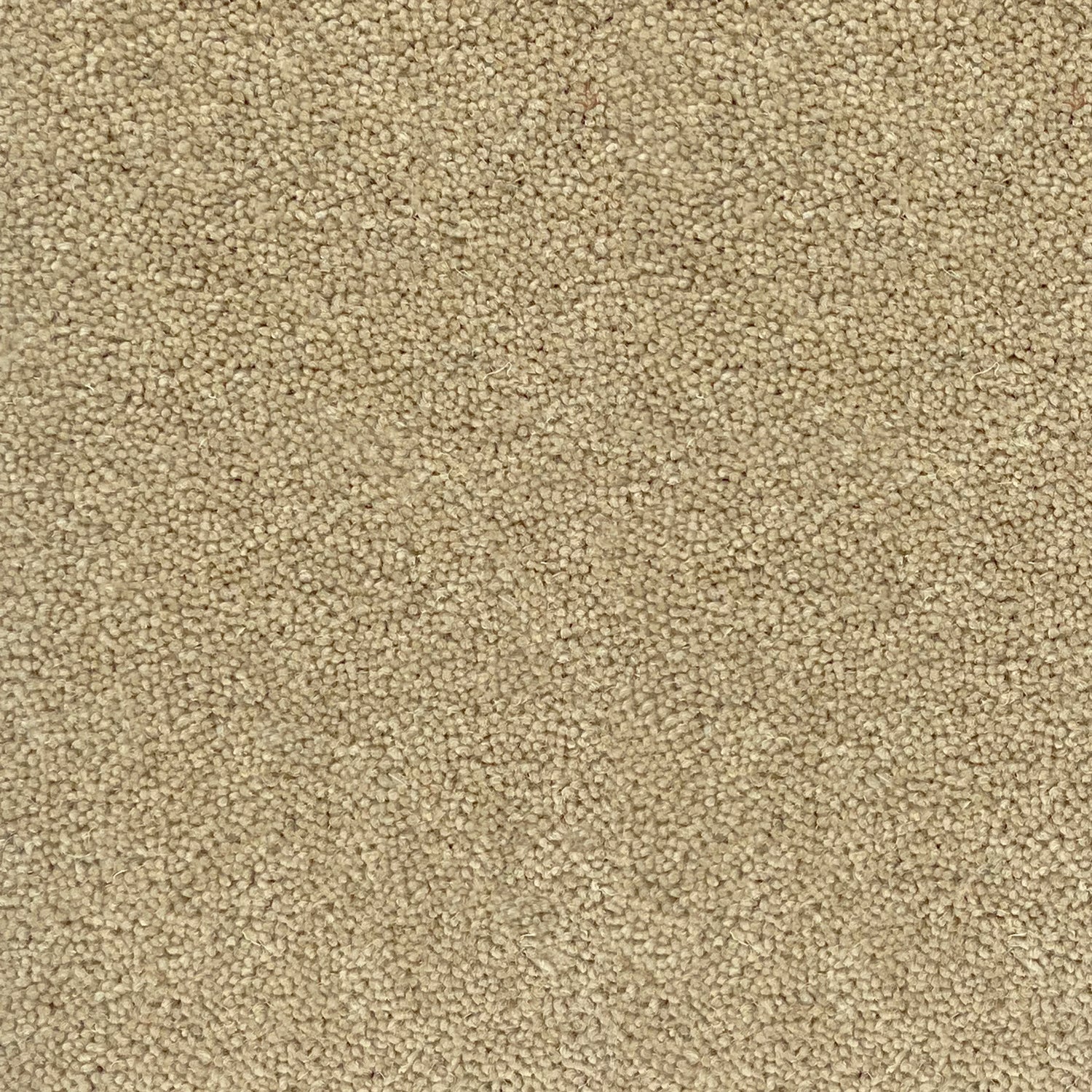 Hugh Mackay 50oz Durham Twist Naturals 80% Wool Blend Twist Carpet