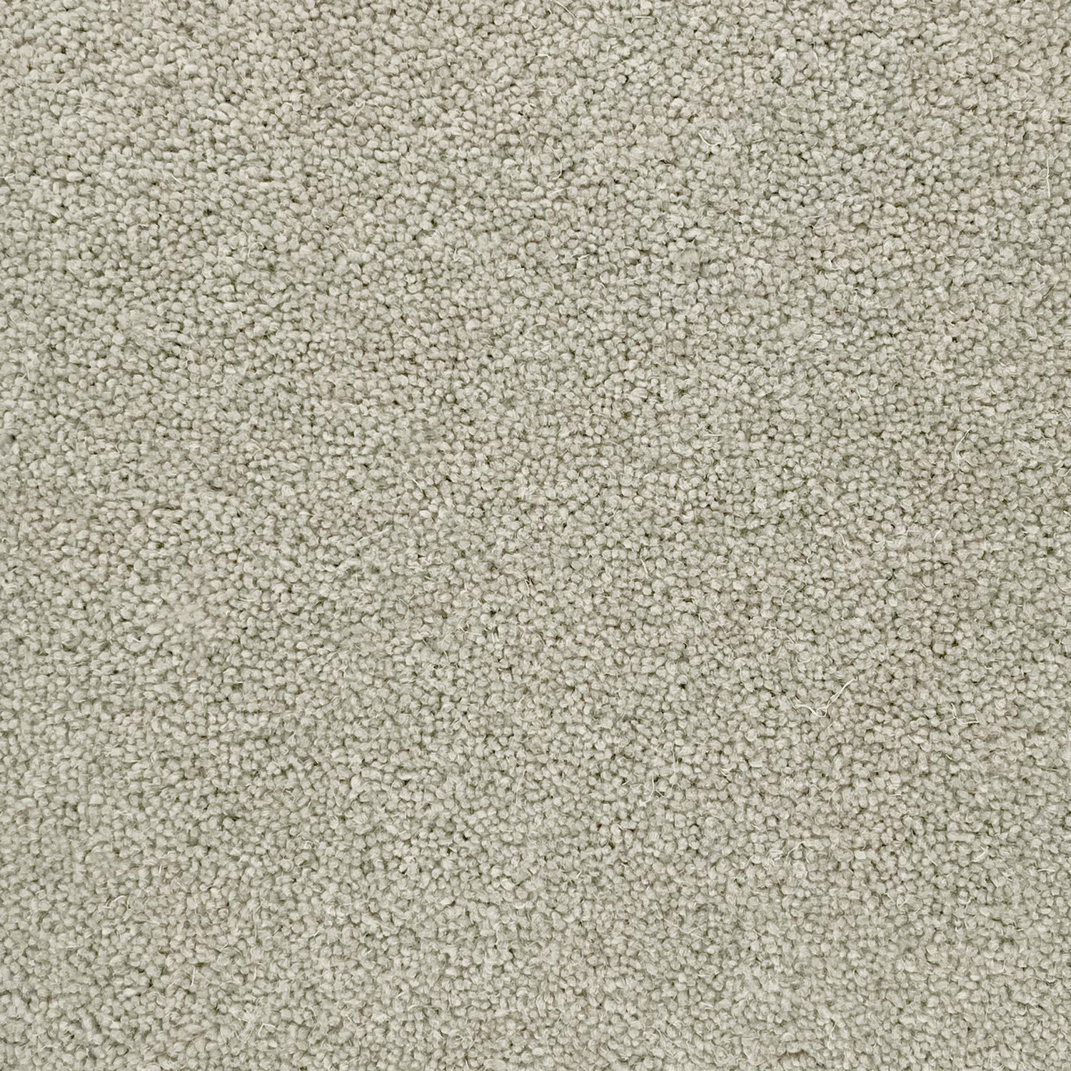 Hugh Mackay 50oz Durham Twist Naturals 80% Wool Blend Twist Carpet