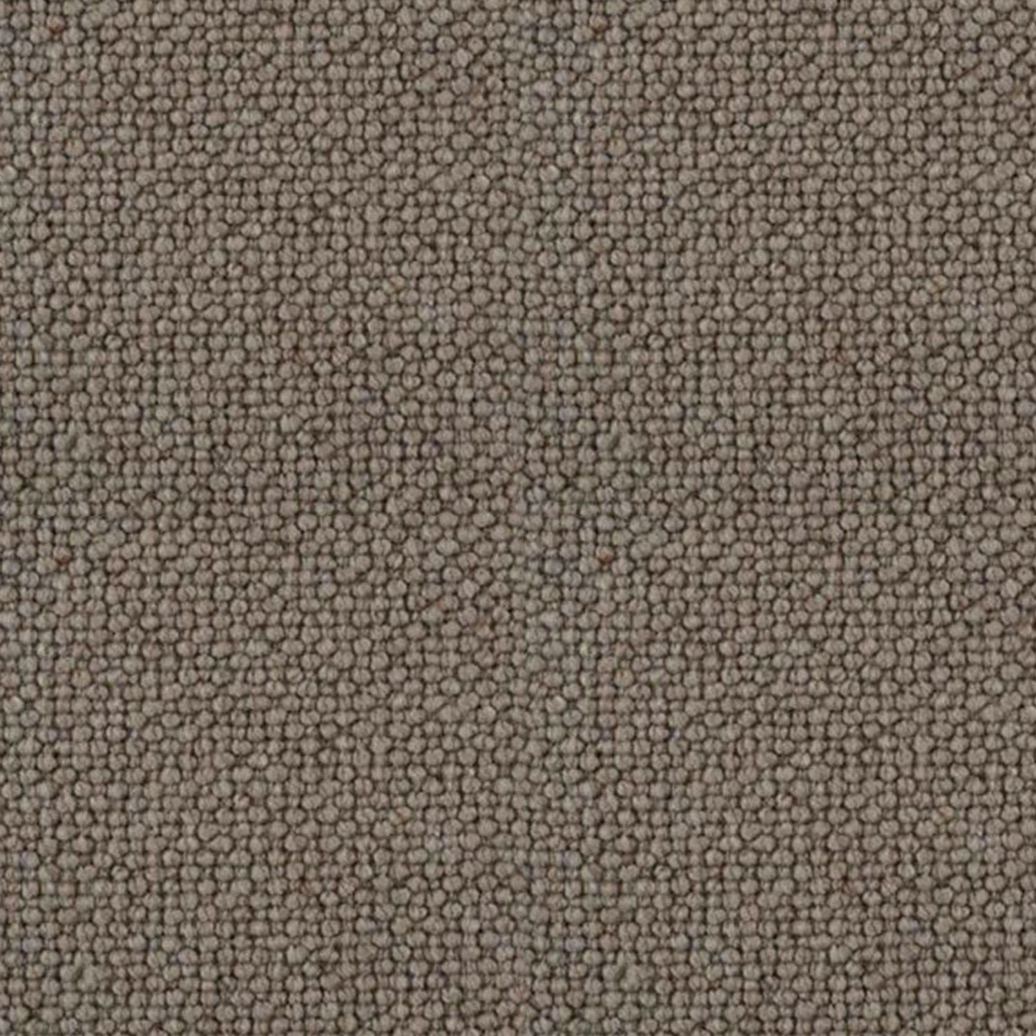 Hugh Mackay Natural Dwelling 100% Wool Loop Carpet