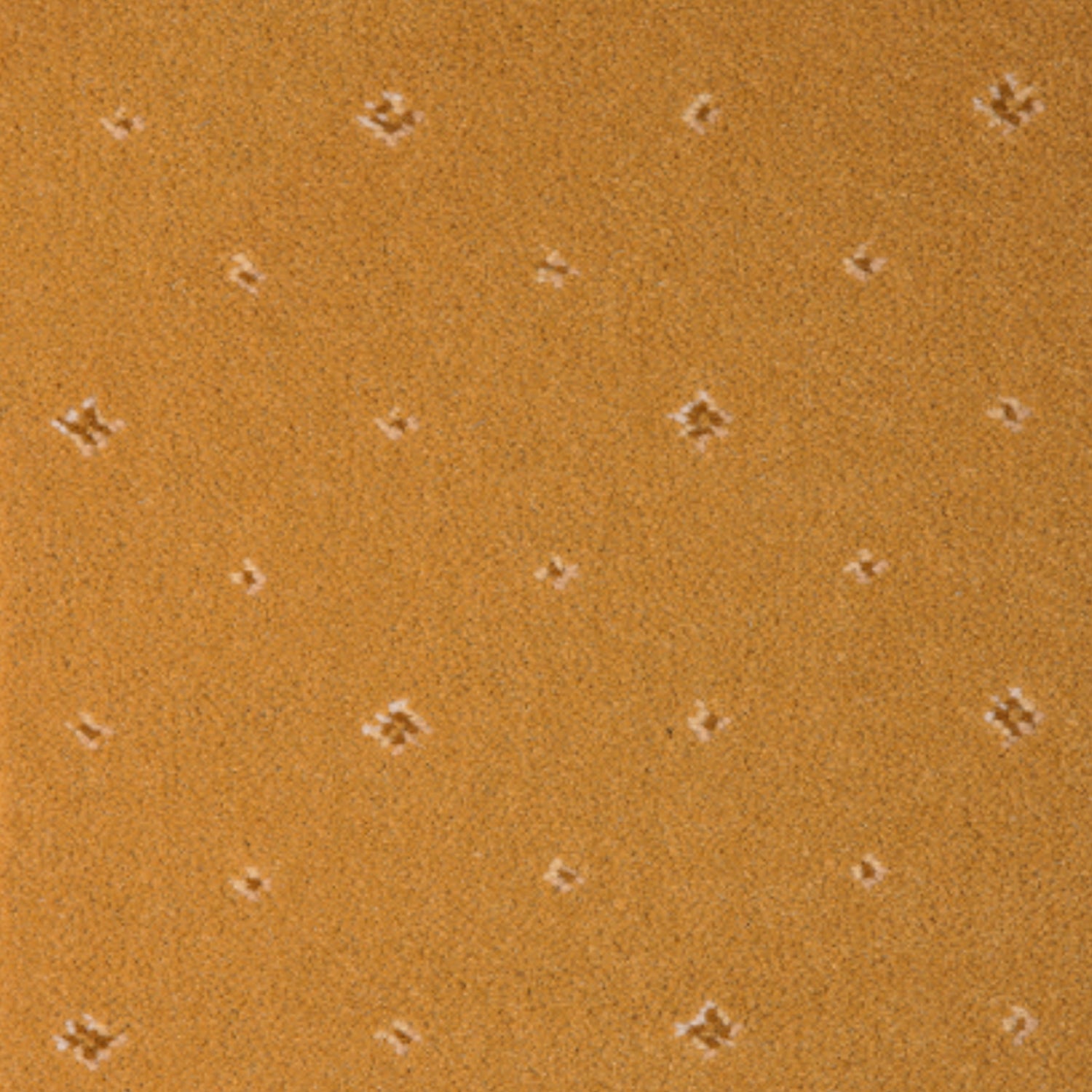 Hugh Mackay Prince Bishop Sceptre Axminster Wool Blend Carpet