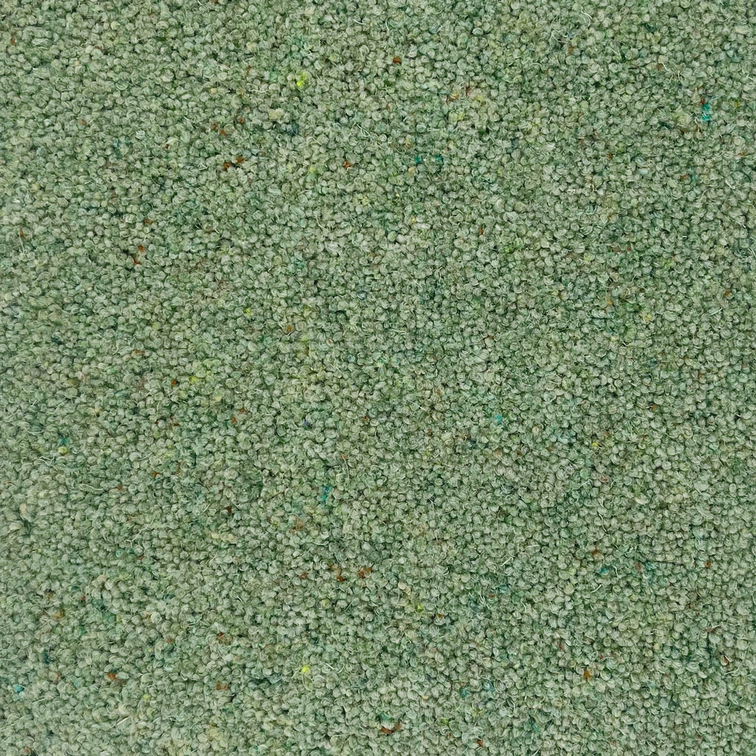 Hugh Mackay 40oz Wharfdale 80% Wool Blend Twist Carpet