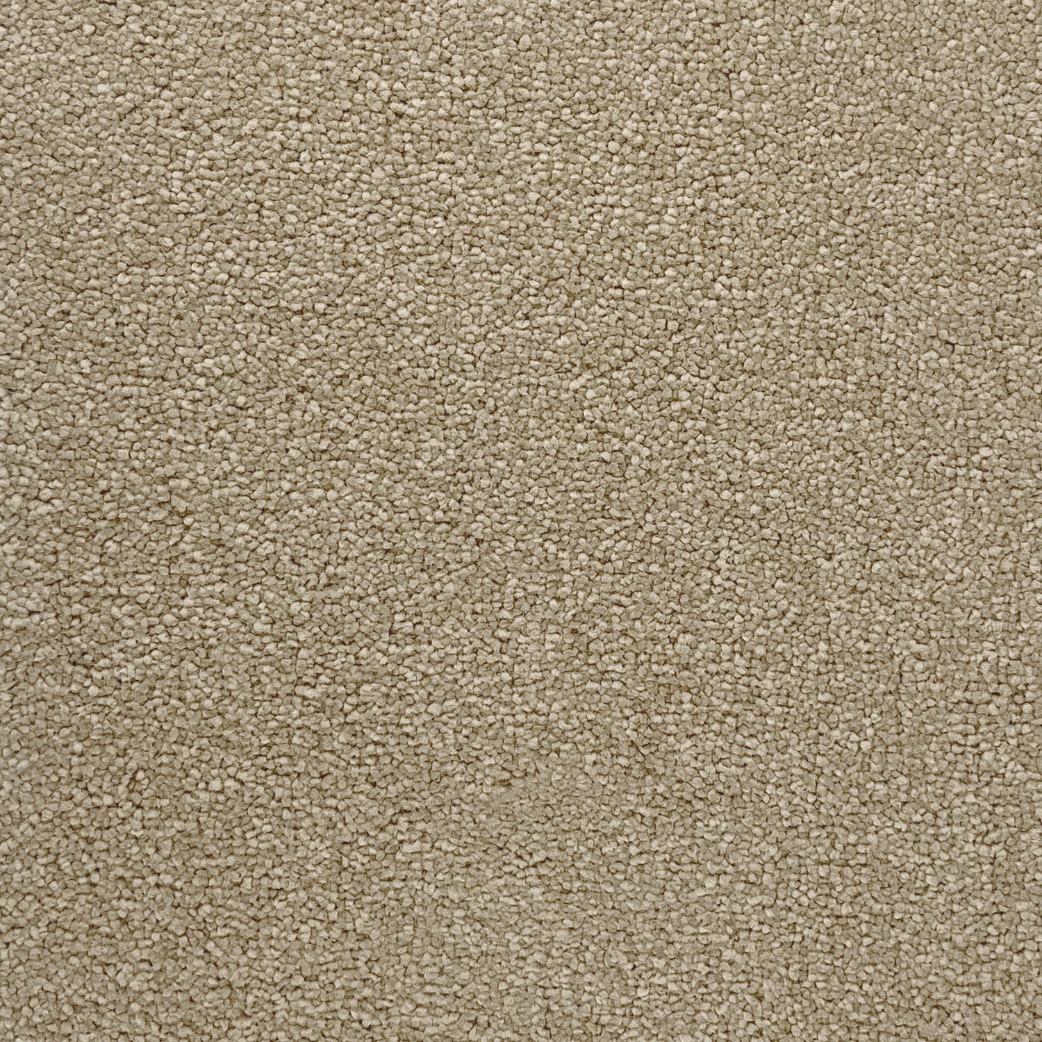 Associated Weavers Invictus Aquarius Saxony Carpet