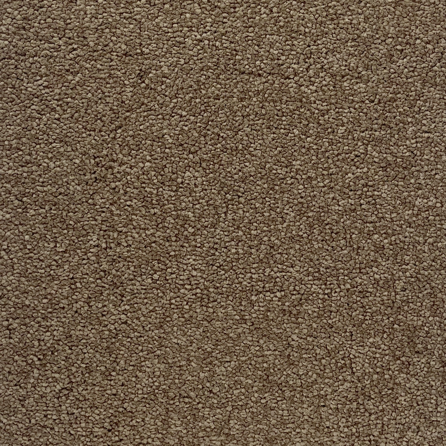 Associated Weavers Invictus Aquarius Saxony Carpet