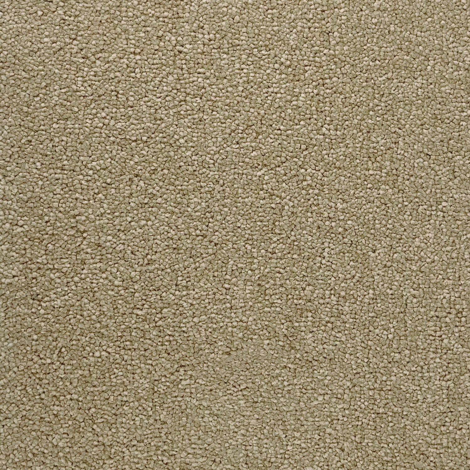 Associated Weavers Invictus Aries Twist Carpet