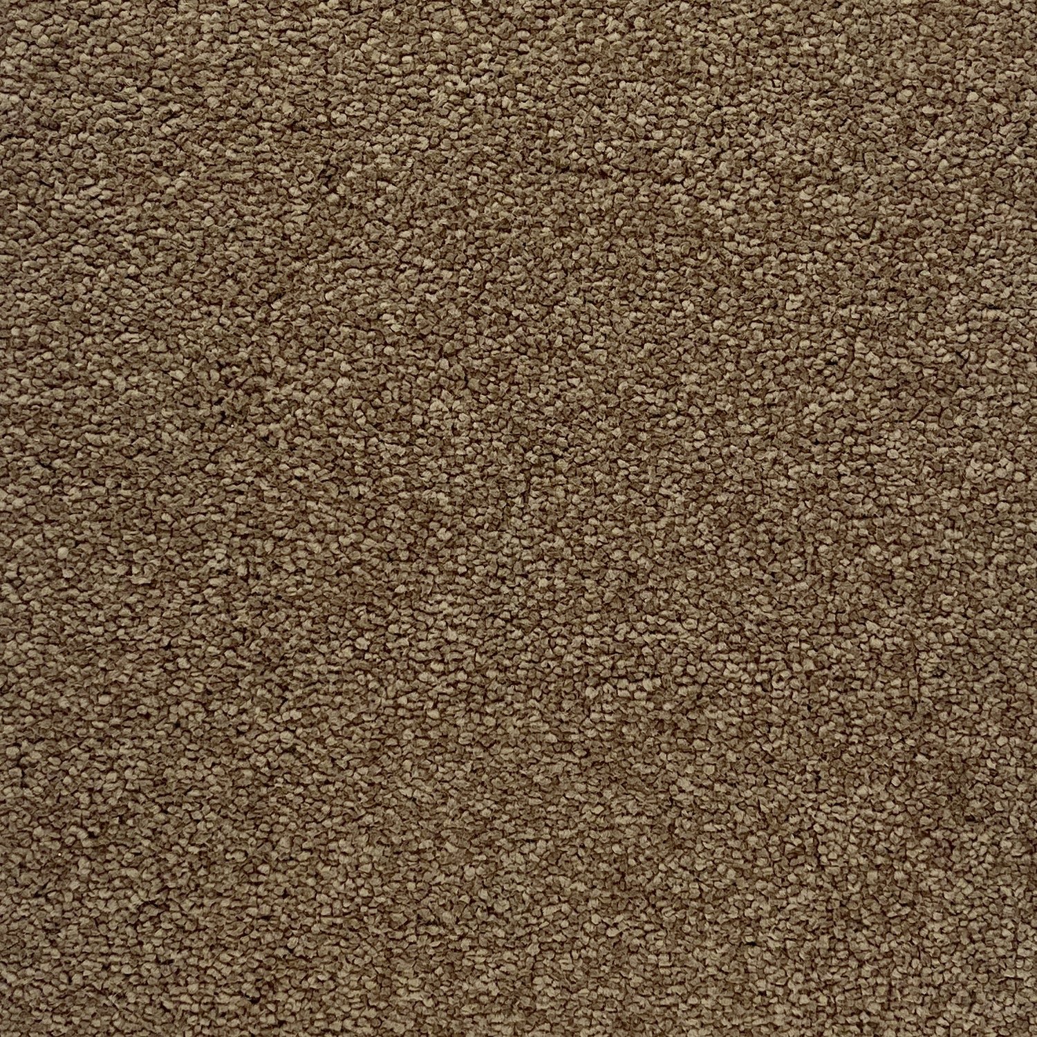 Associated Weavers Invictus Aries Twist Carpet