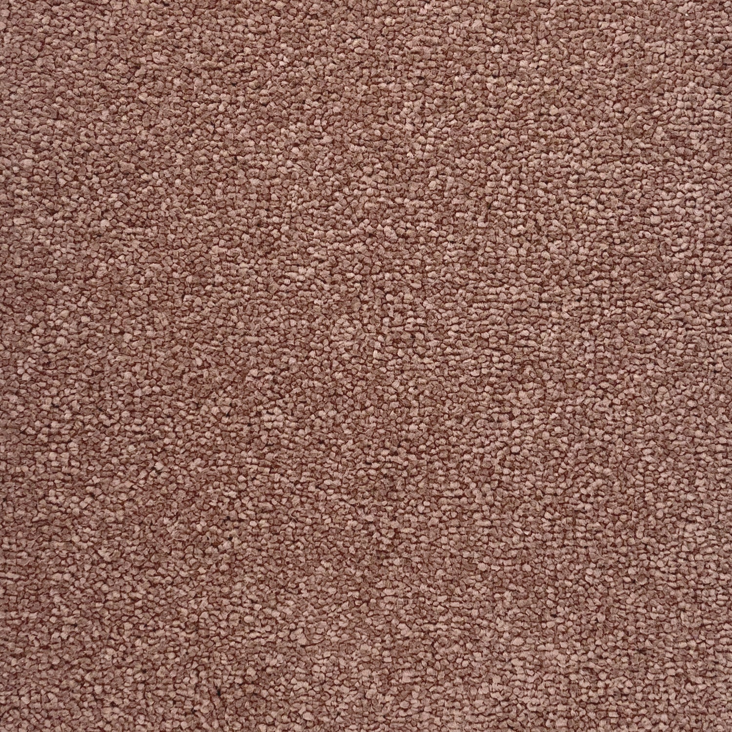 Associated Weavers Invictus Aries Twist Carpet