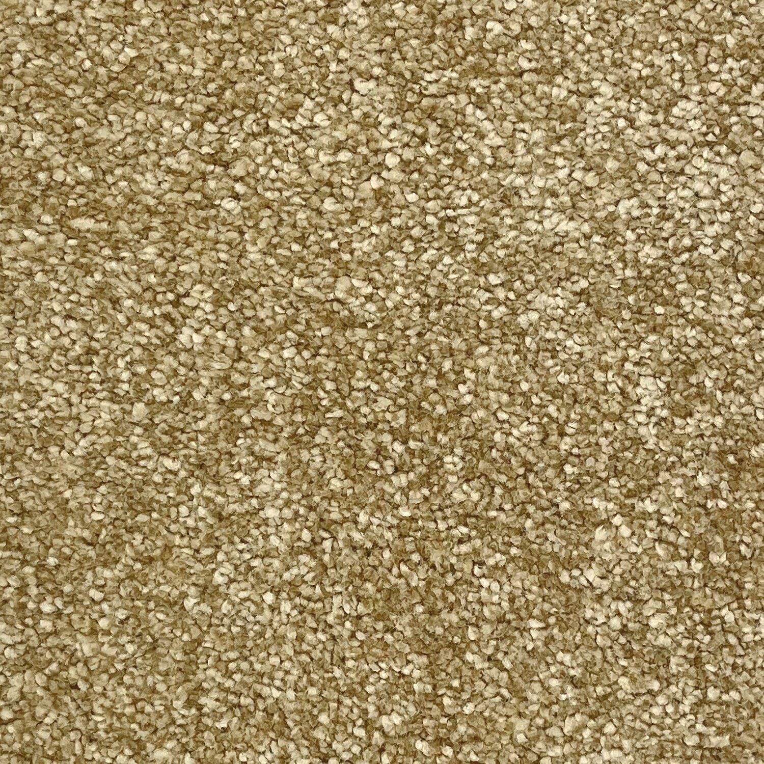 Associated Weavers Invictus Aurelius Saxony Carpet