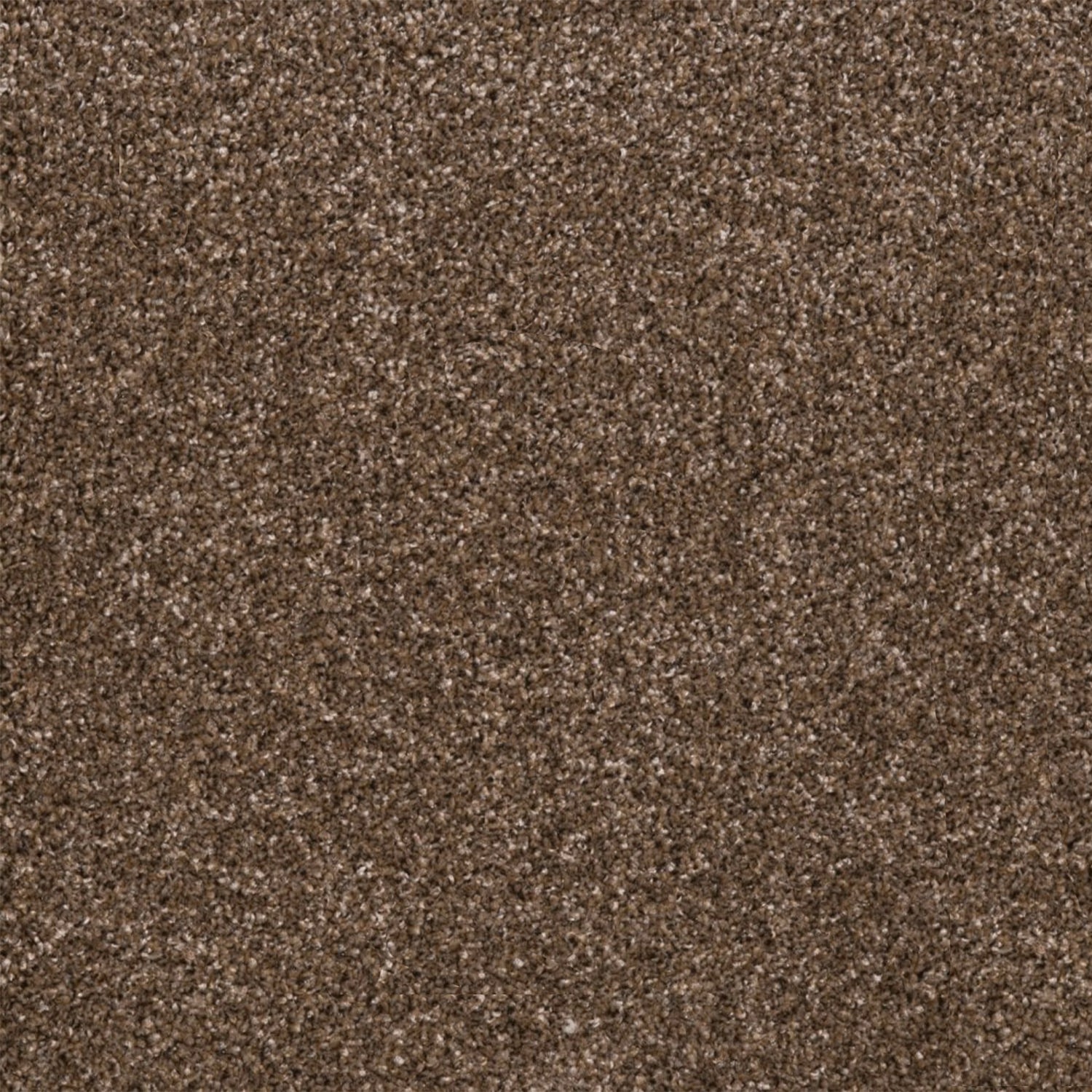Associated Weavers Holmfirth Frisé Twist Carpet